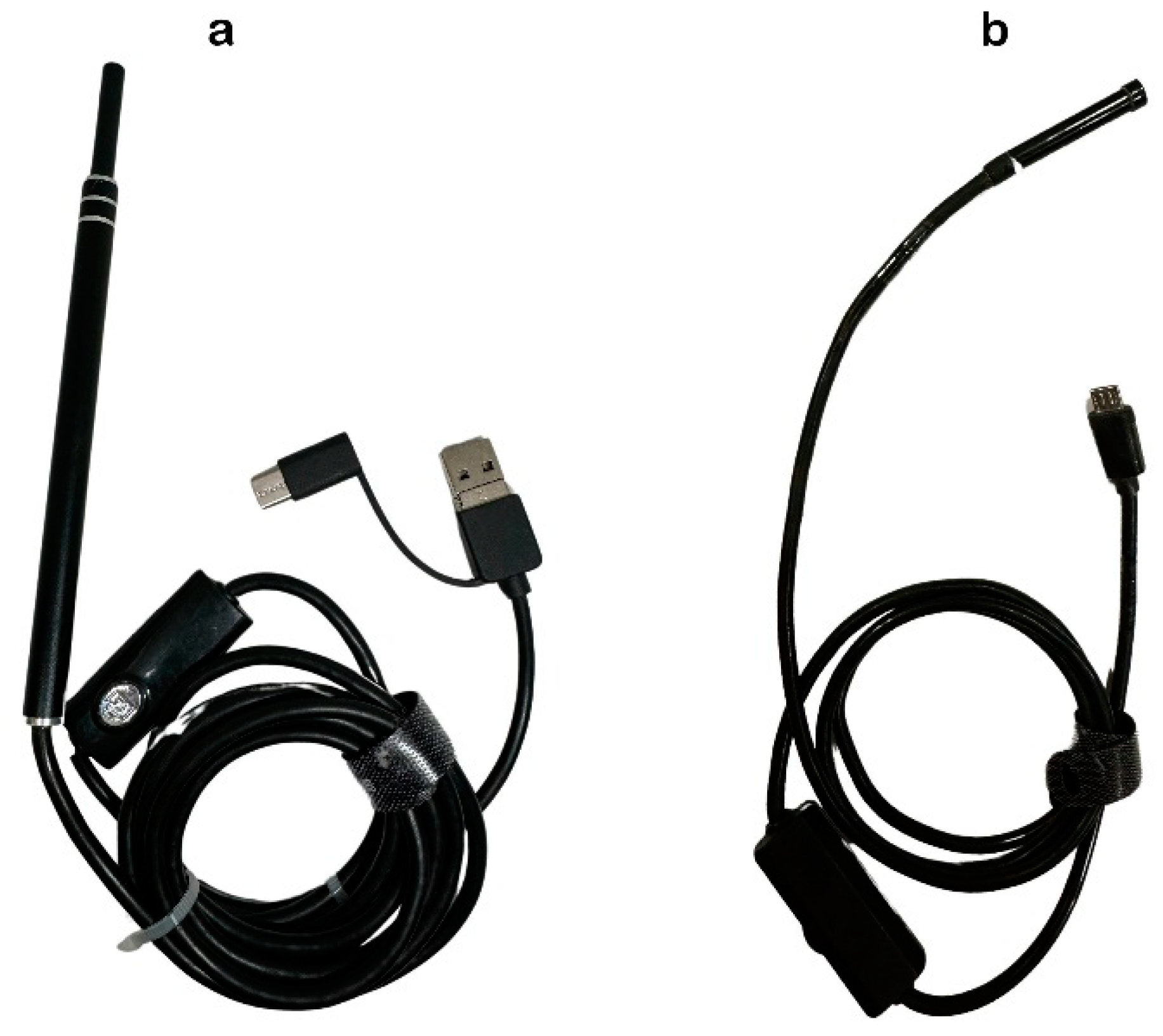 Animals 14 01270 g001