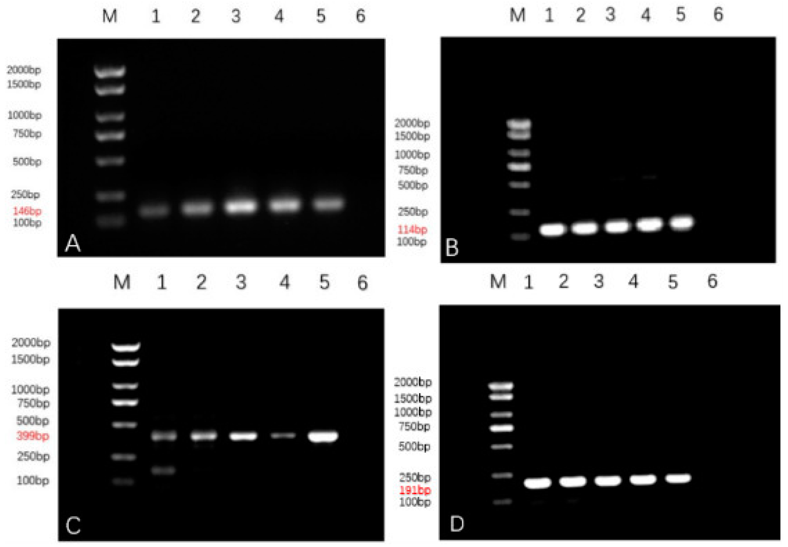 Animals 14 01272 g005