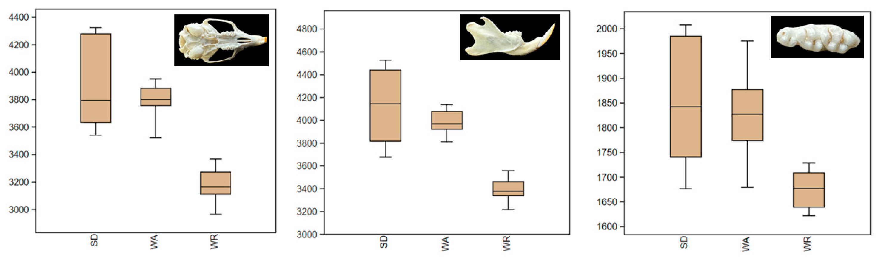 Animals 14 01274 g002