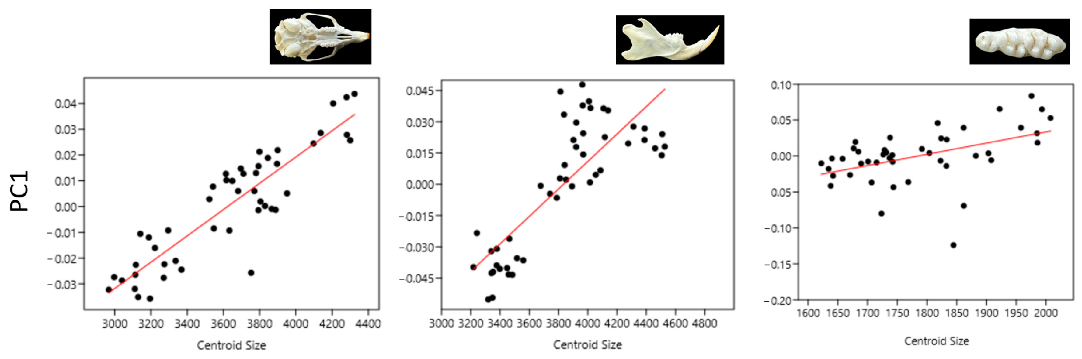 Animals 14 01274 g005