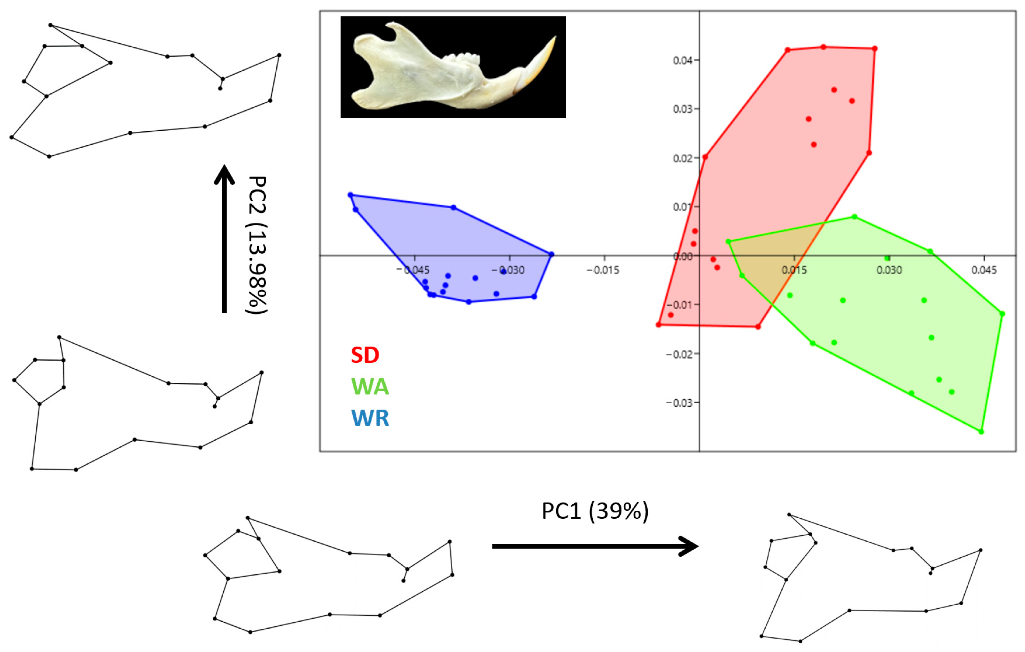 Animals 14 01274 g006