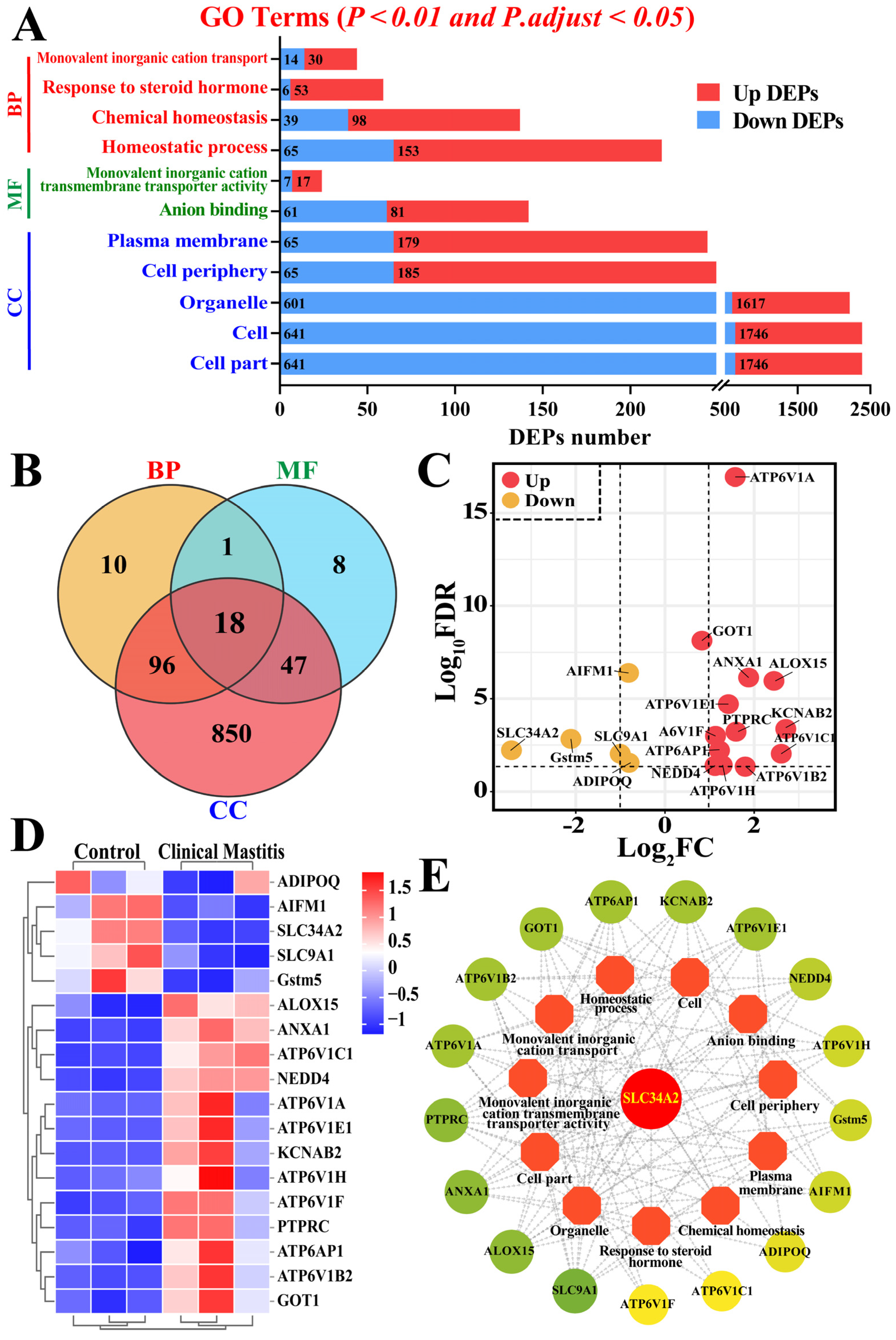 Animals 14 01275 g003