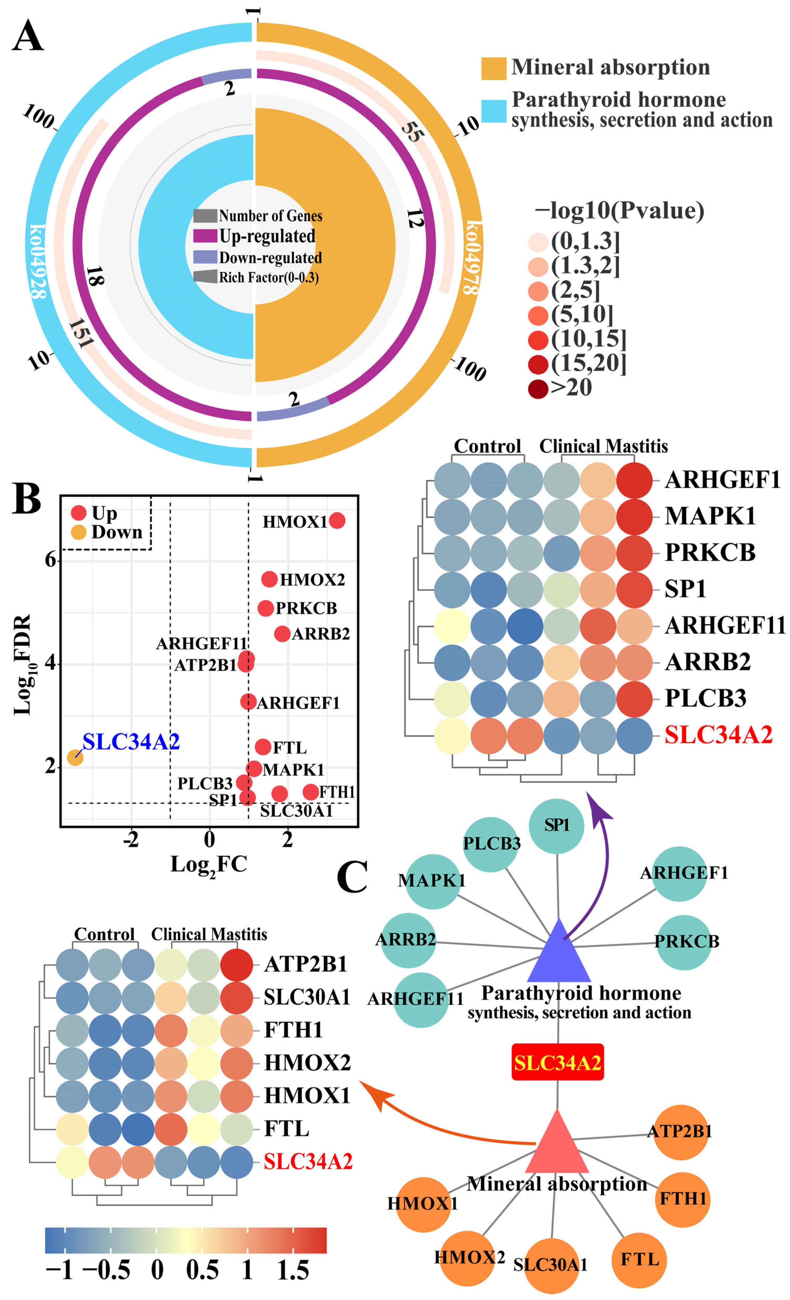 Animals 14 01275 g004
