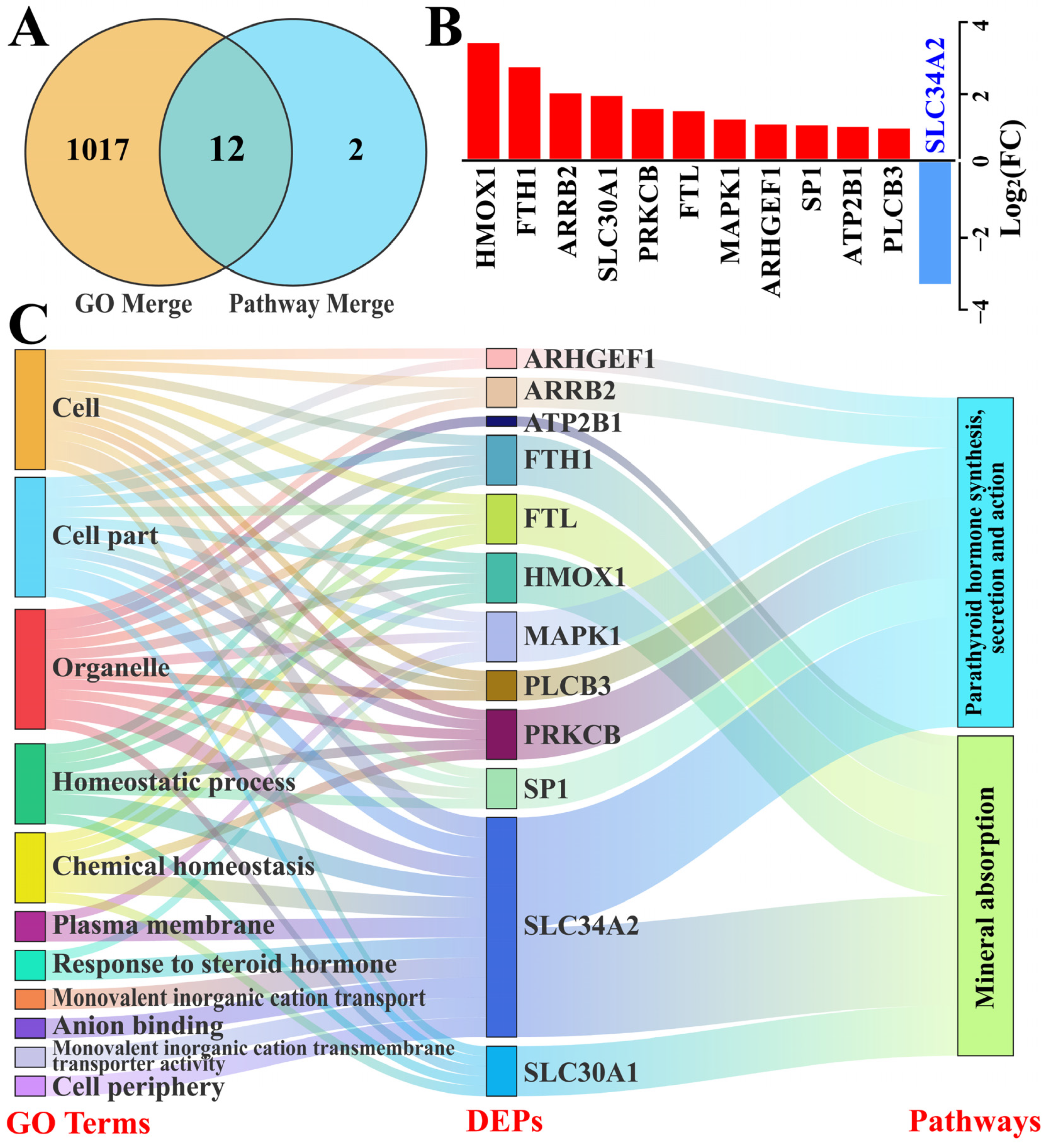 Animals 14 01275 g005