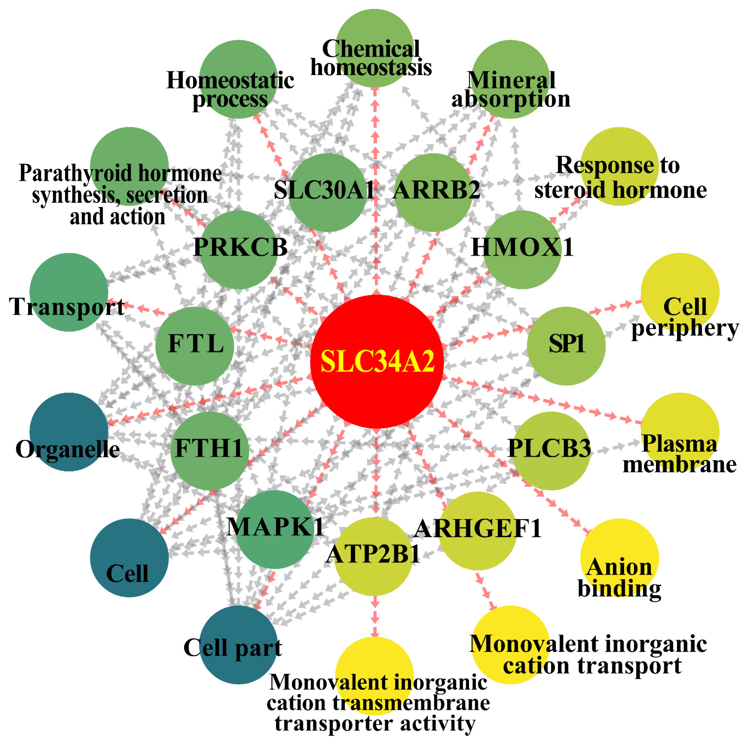 Animals 14 01275 g006