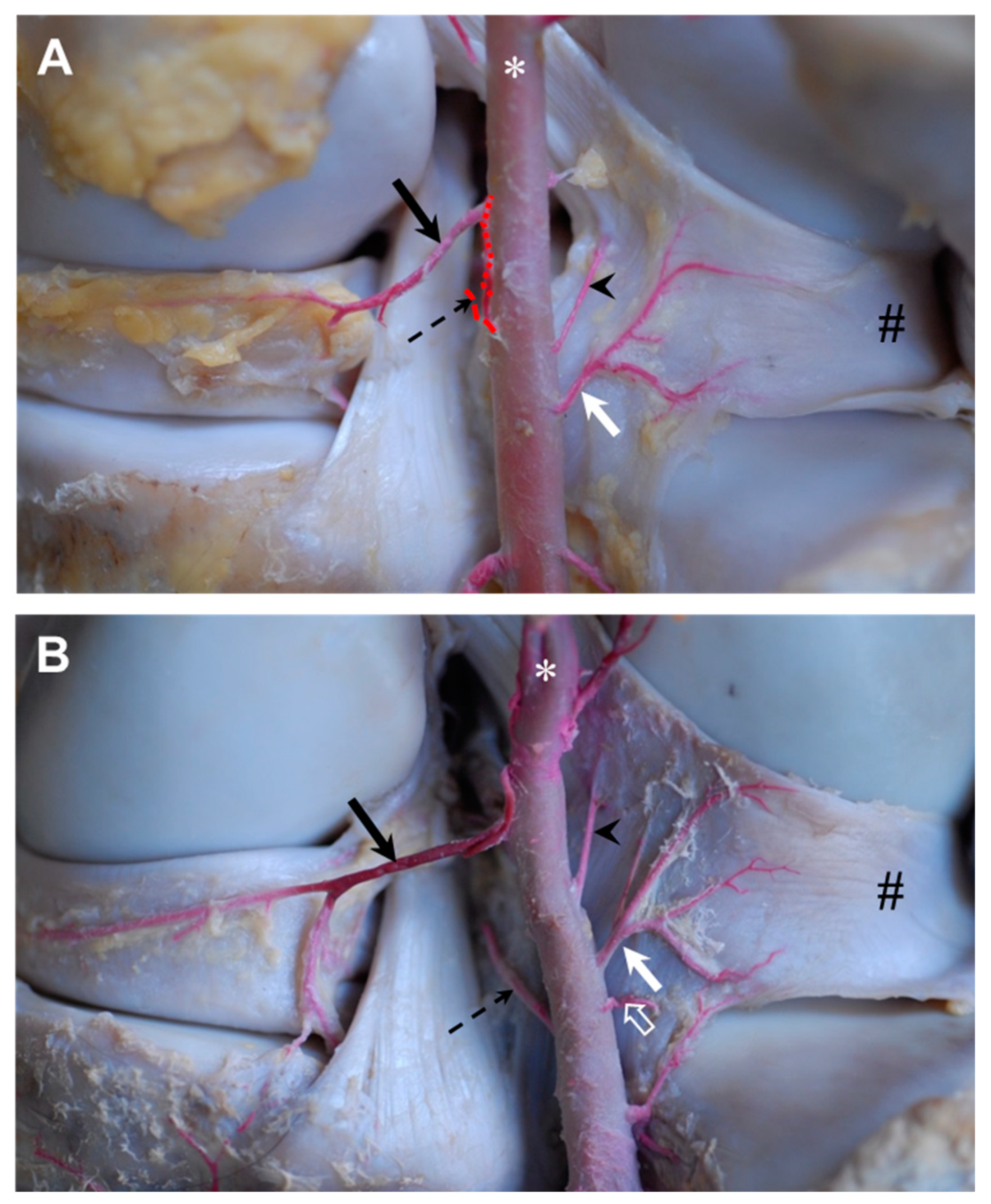 Animals 14 01279 g006
