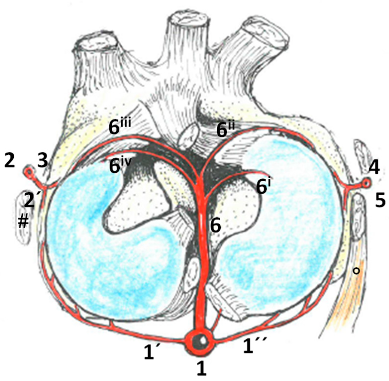 Animals 14 01279 g008