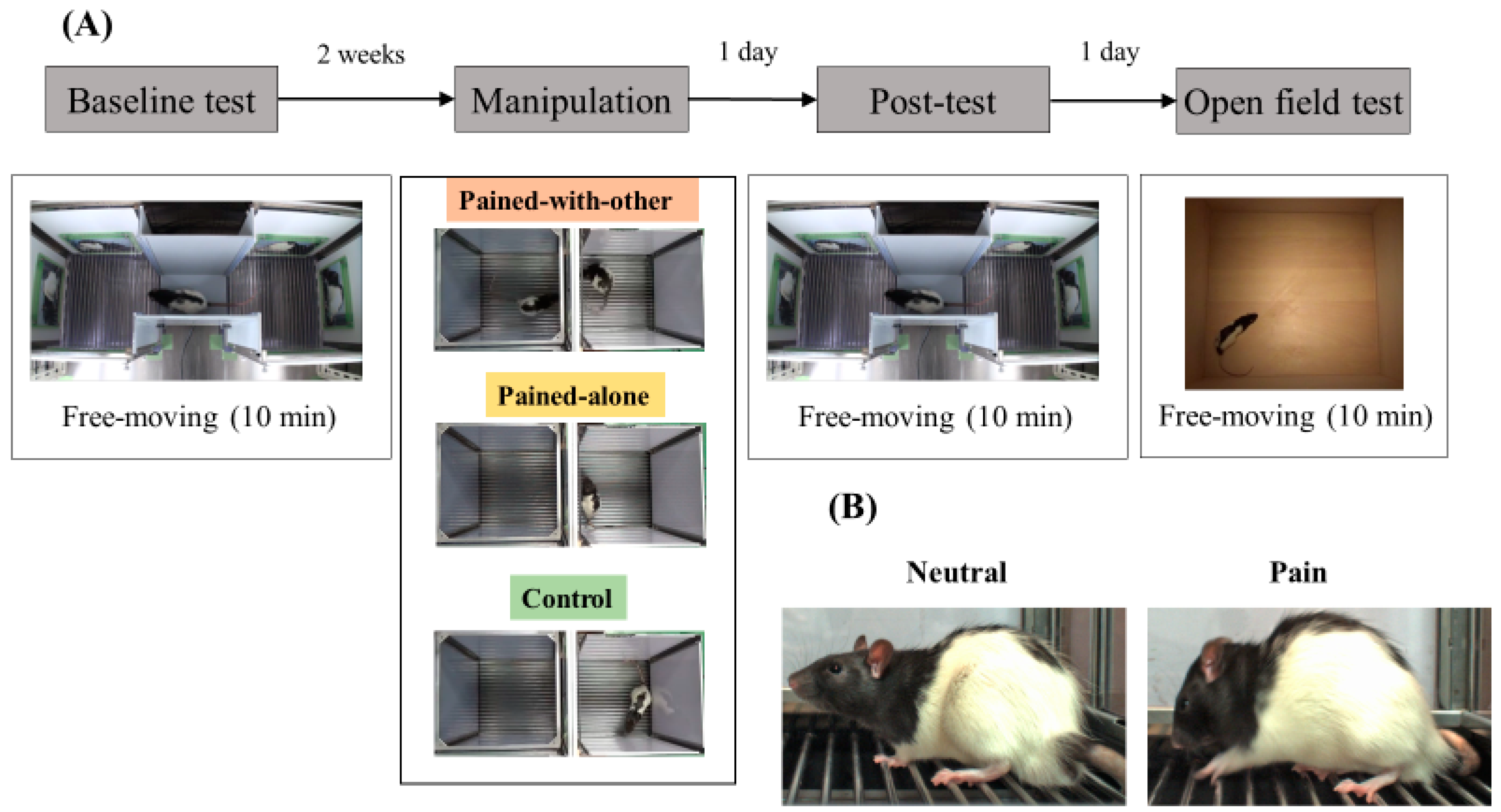 Animals 14 01280 g001