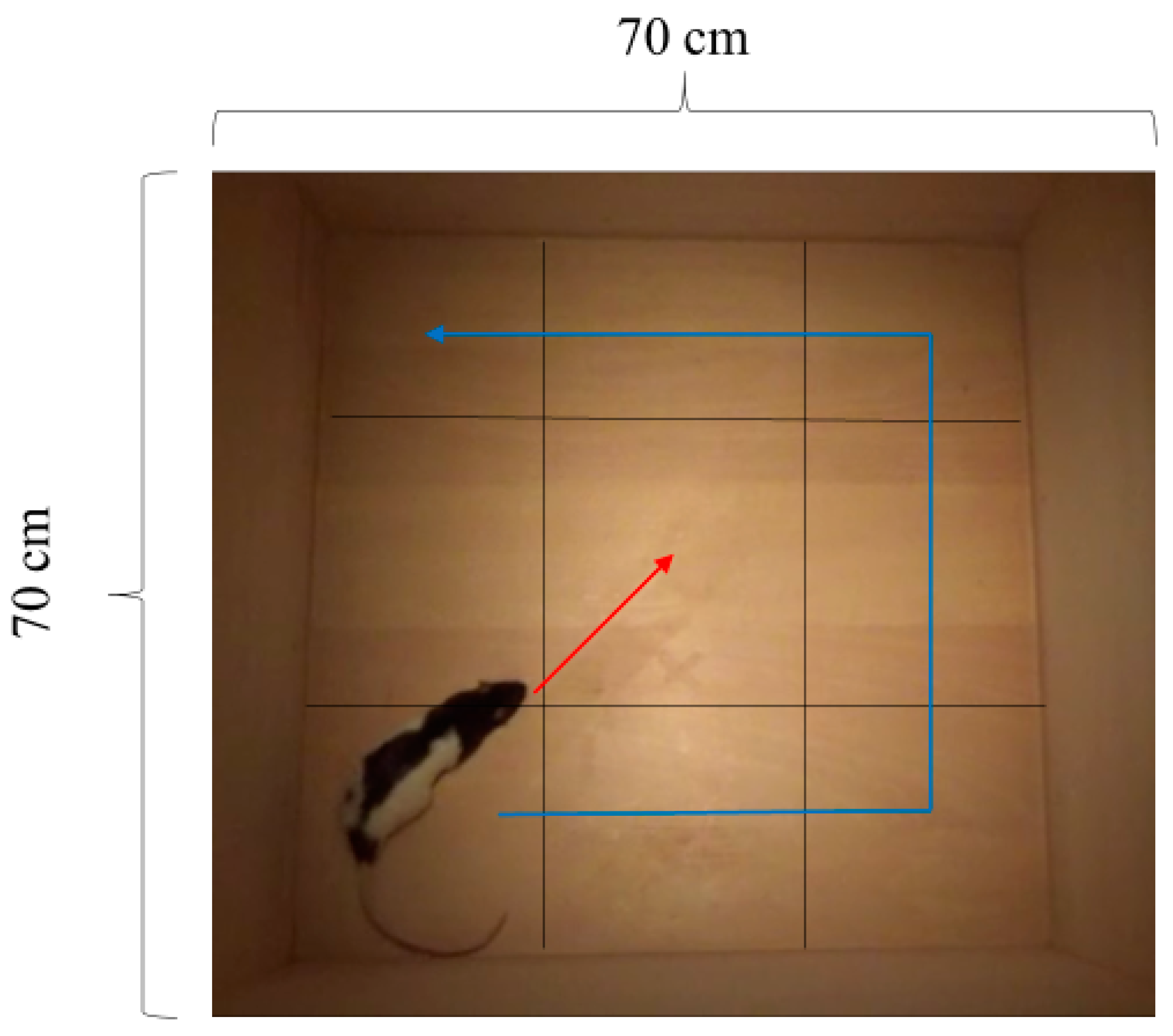 Animals 14 01280 g002