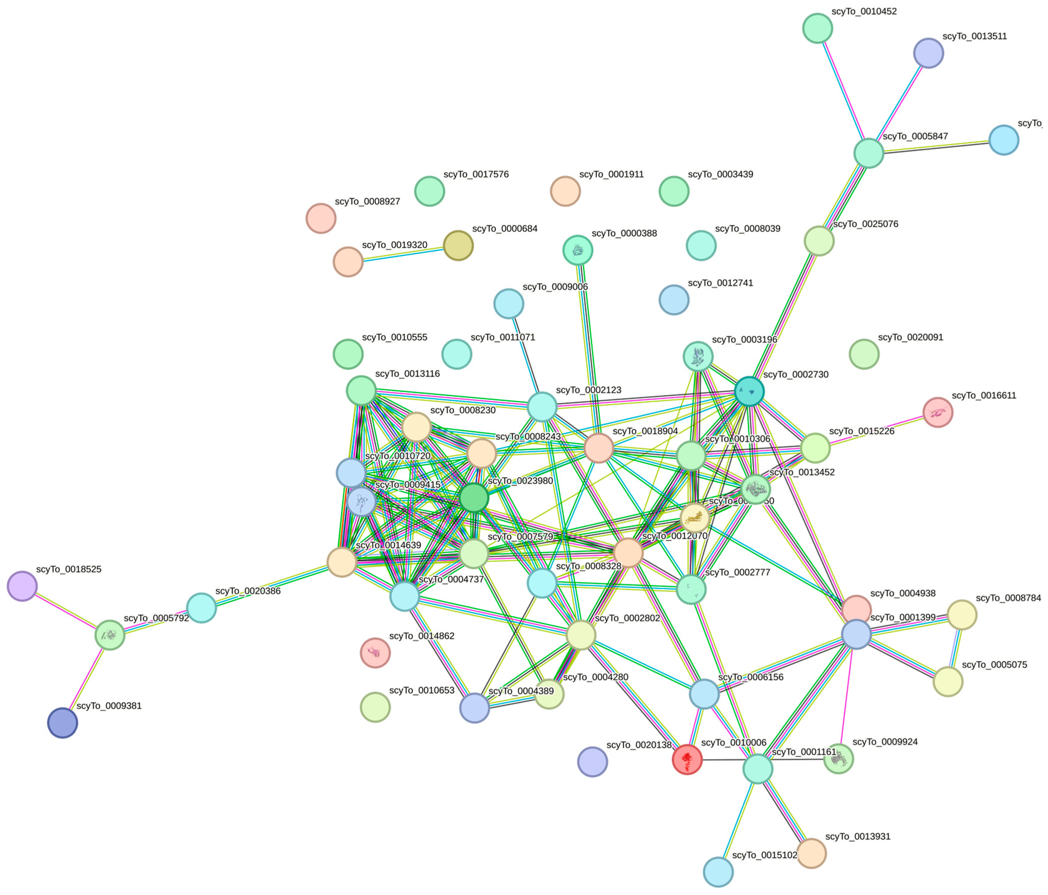 Animals 14 01281 g004