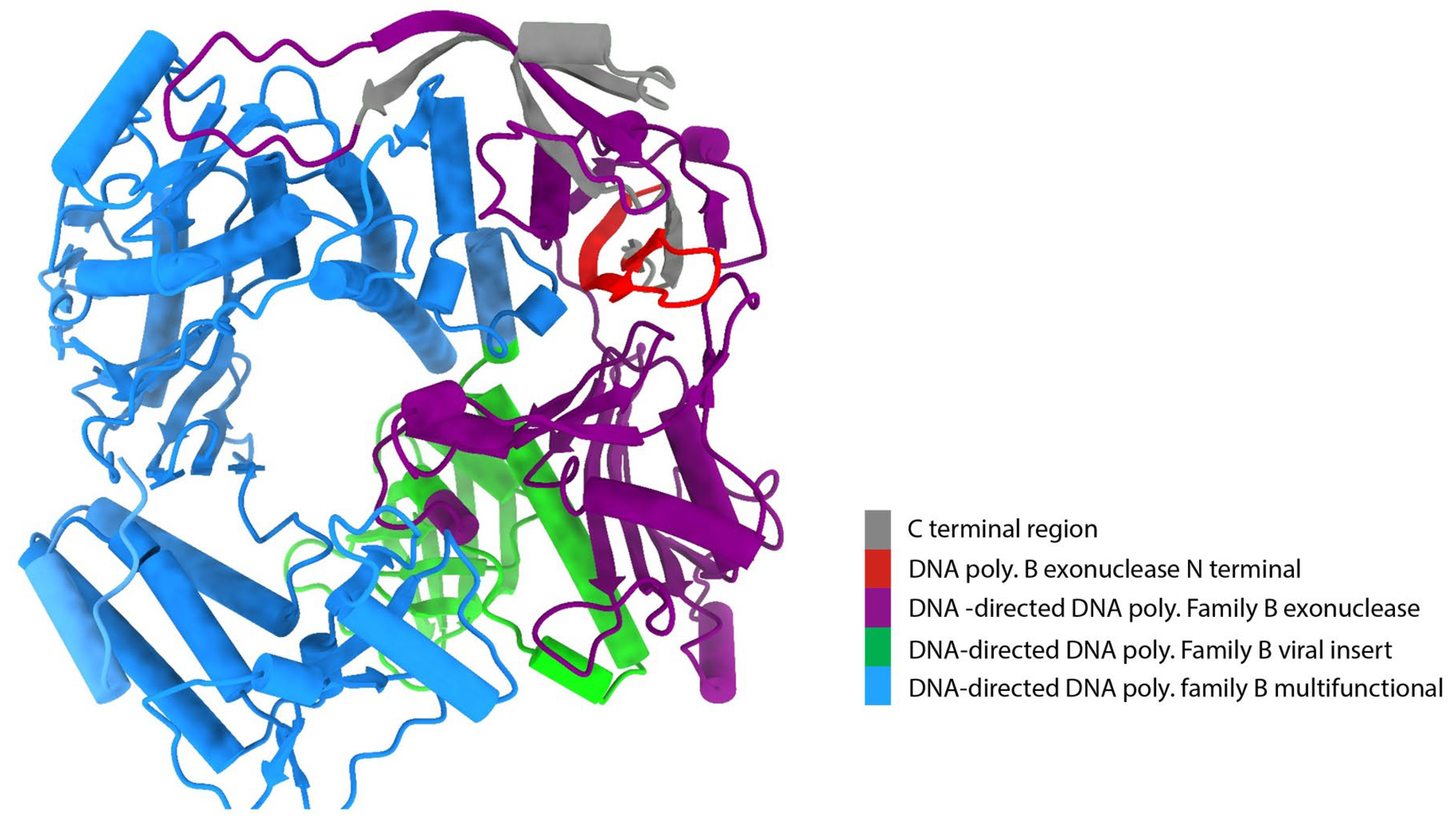 Animals 14 01283 g002 Animals 14 01283 g002