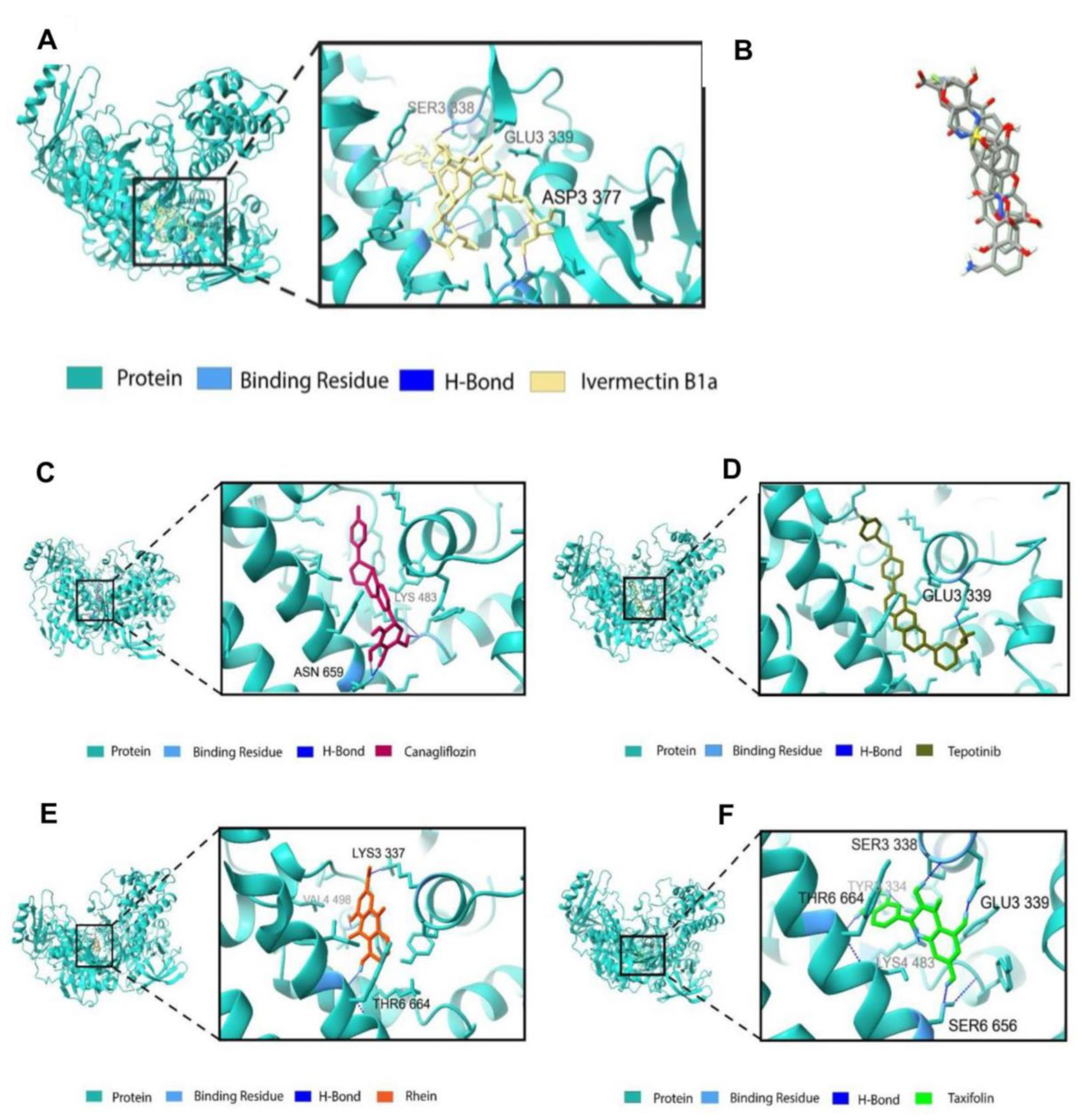 Animals 14 01283 g006 Animals 14 01283 g006