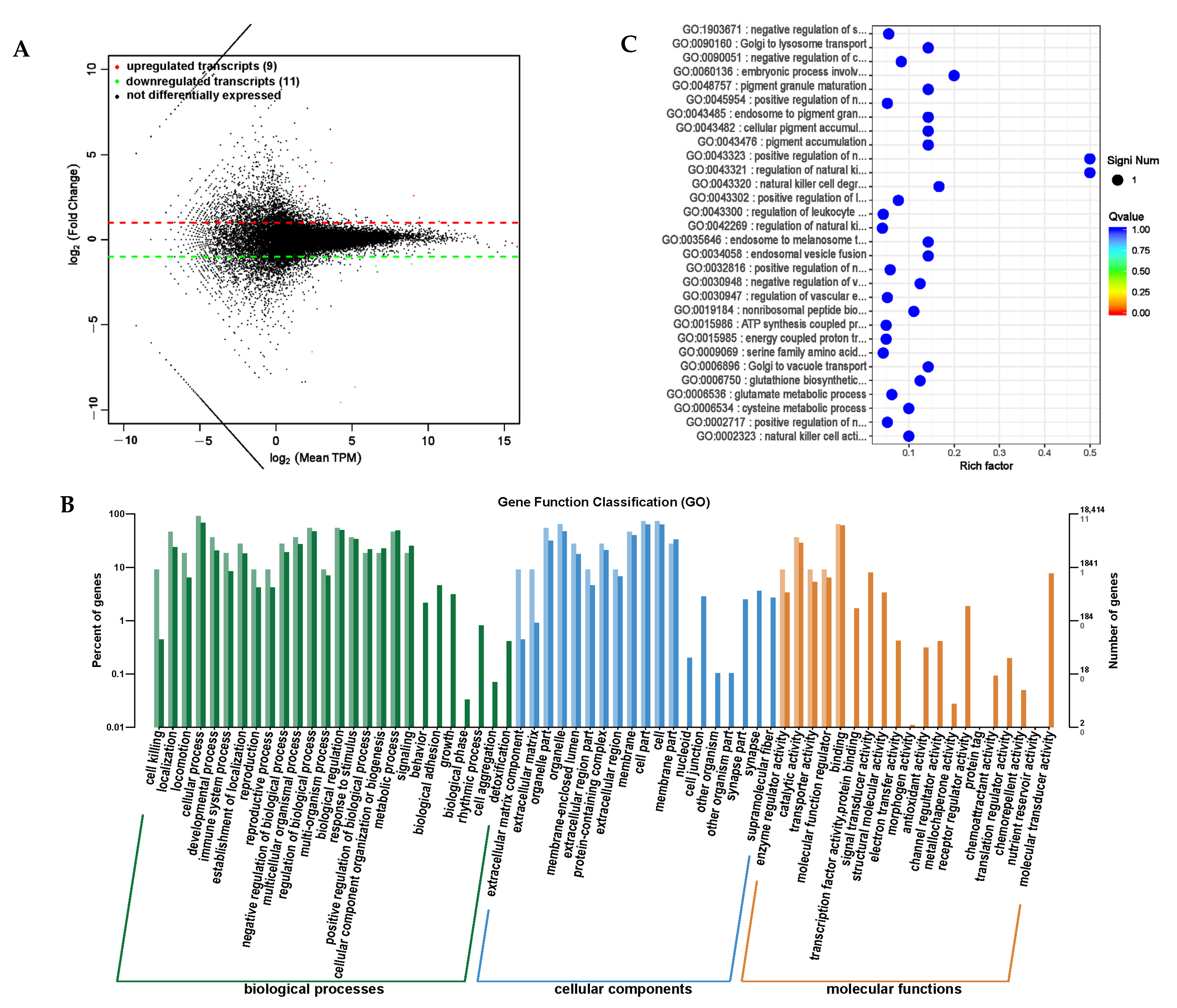 Animals 14 01285 g012
