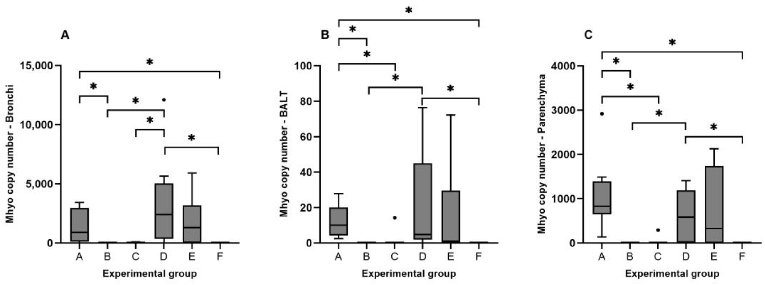 Animals 14 01290 g002