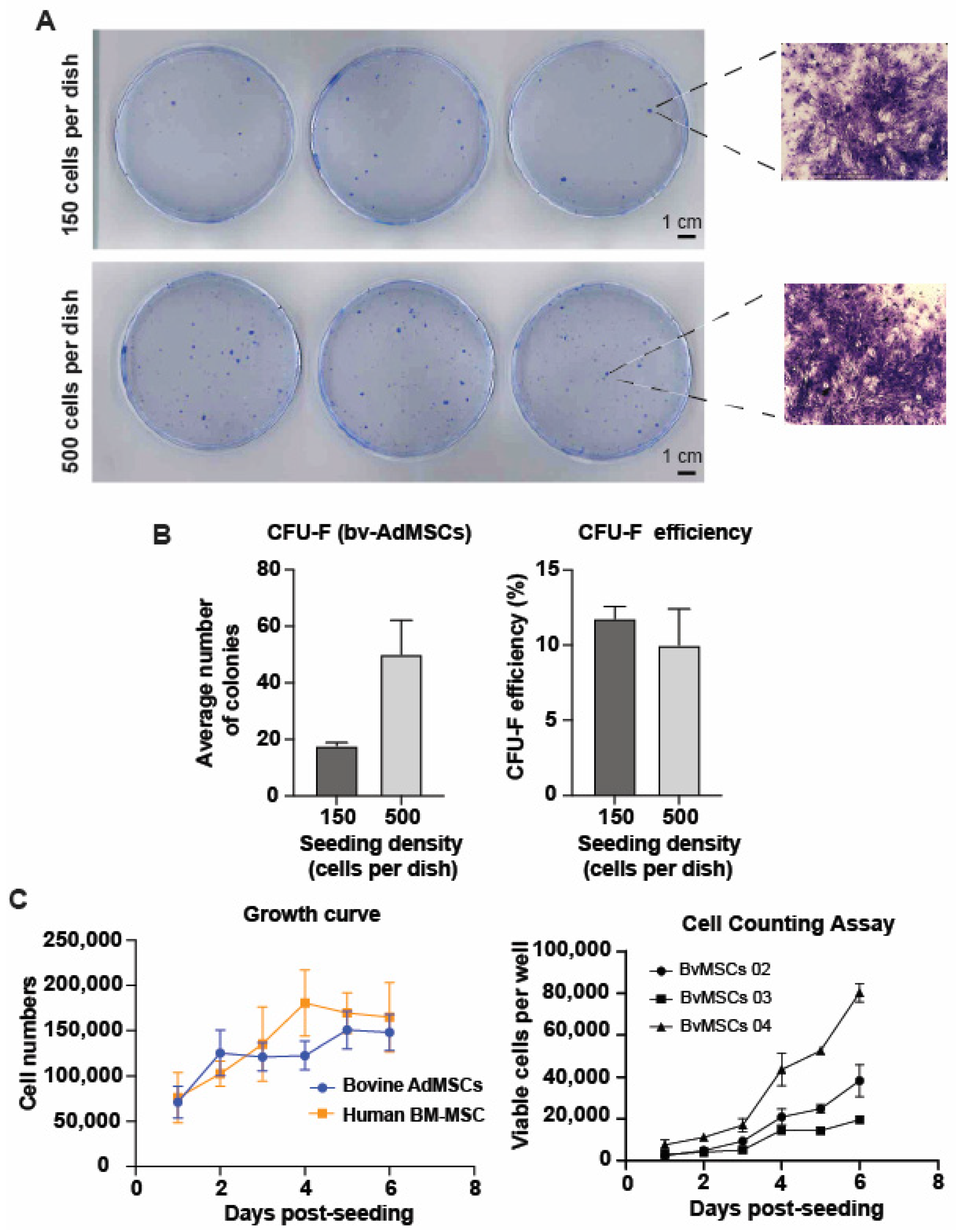 Animals 14 01292 g003 Animals 14 01292 g003