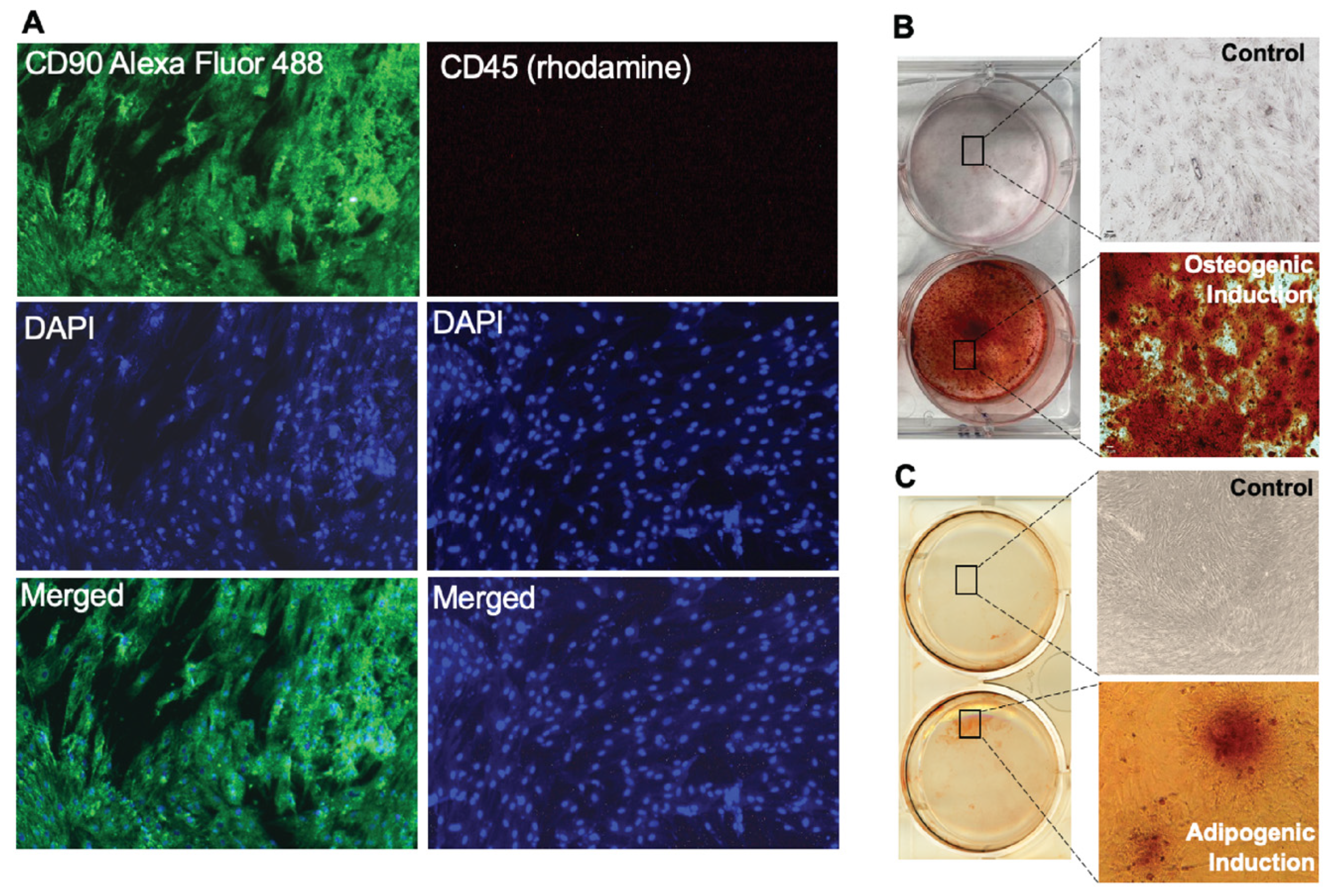 Animals 14 01292 g005 Animals 14 01292 g005