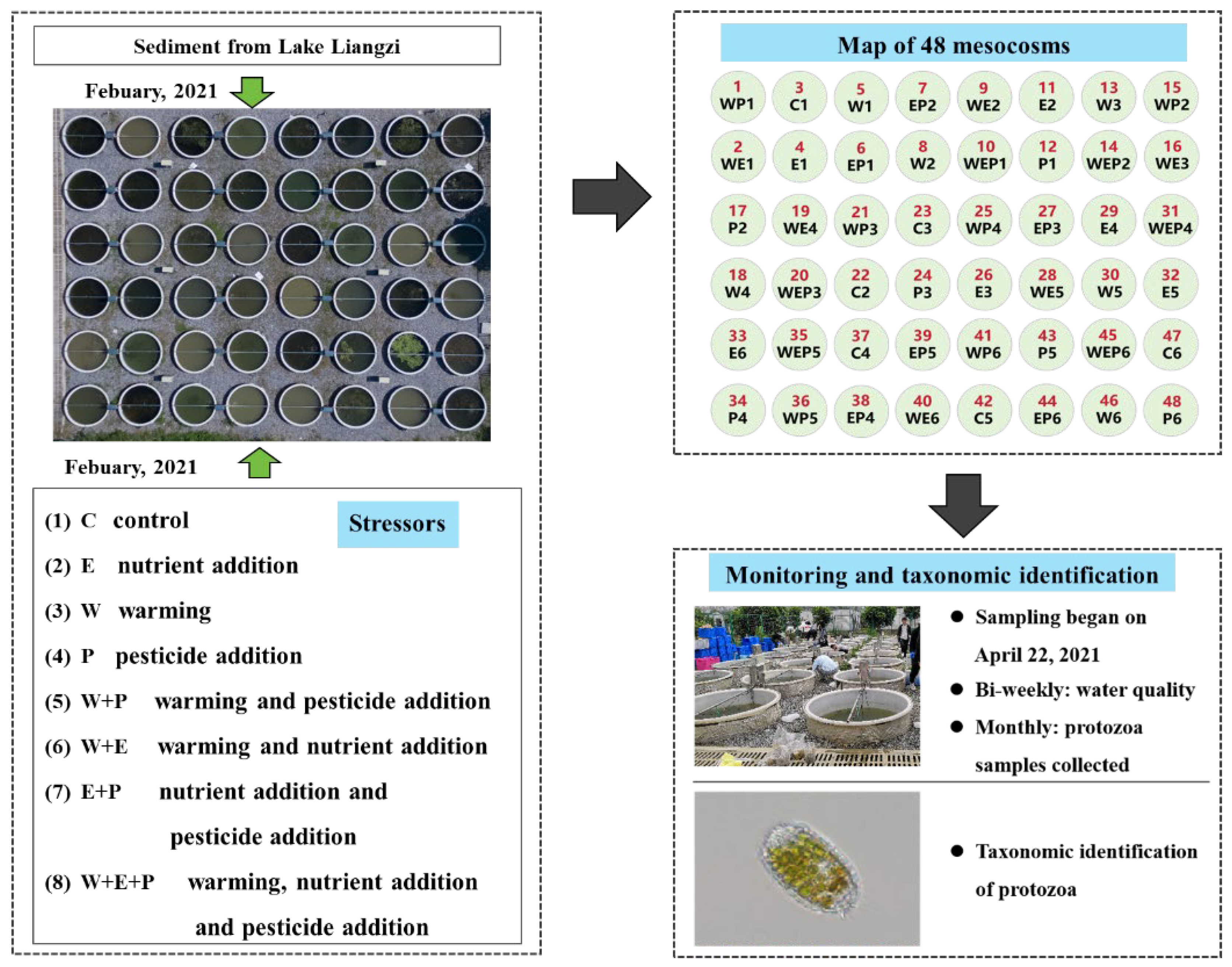 Animals 14 01293 g001