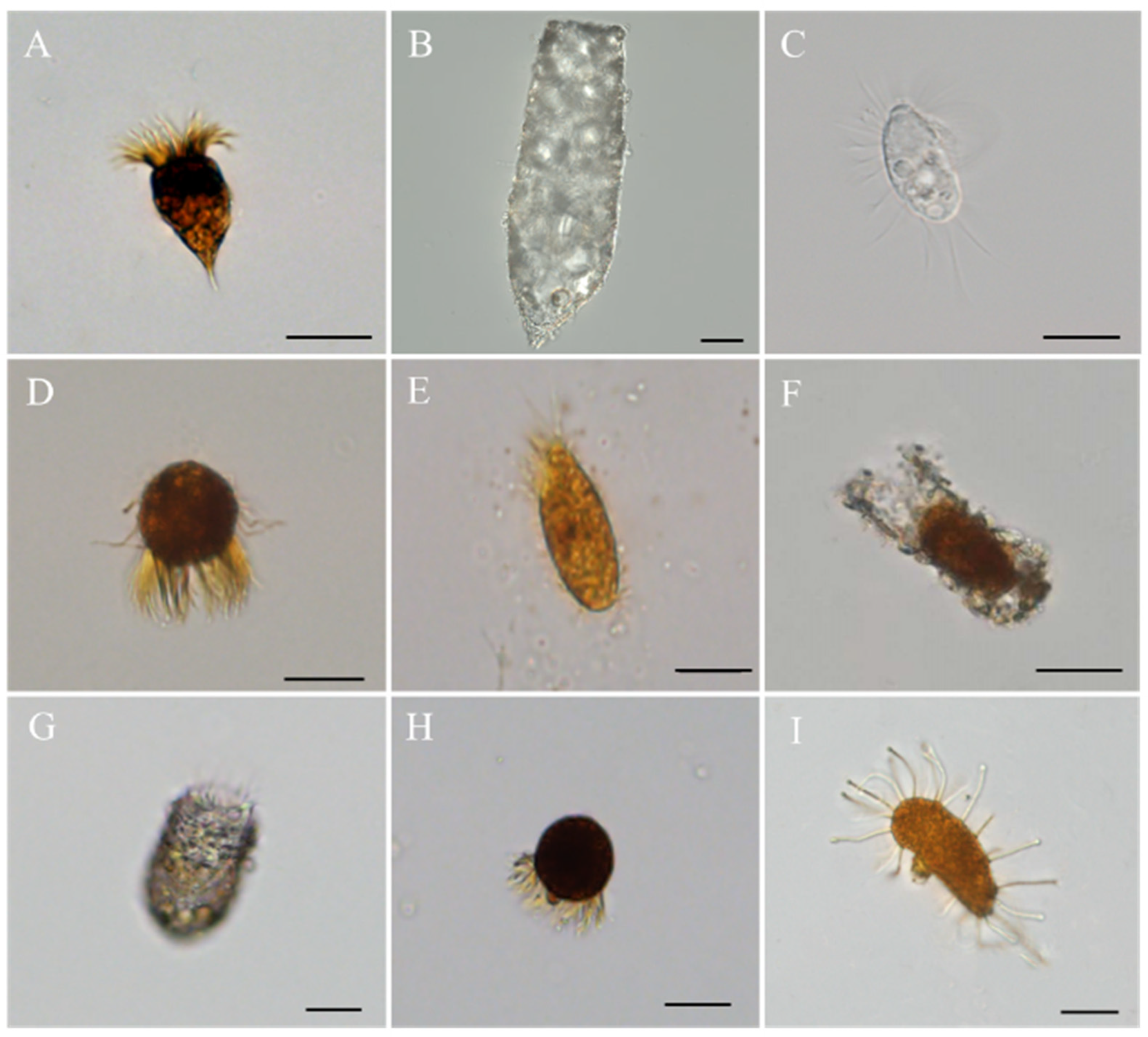 Animals 14 01293 g006