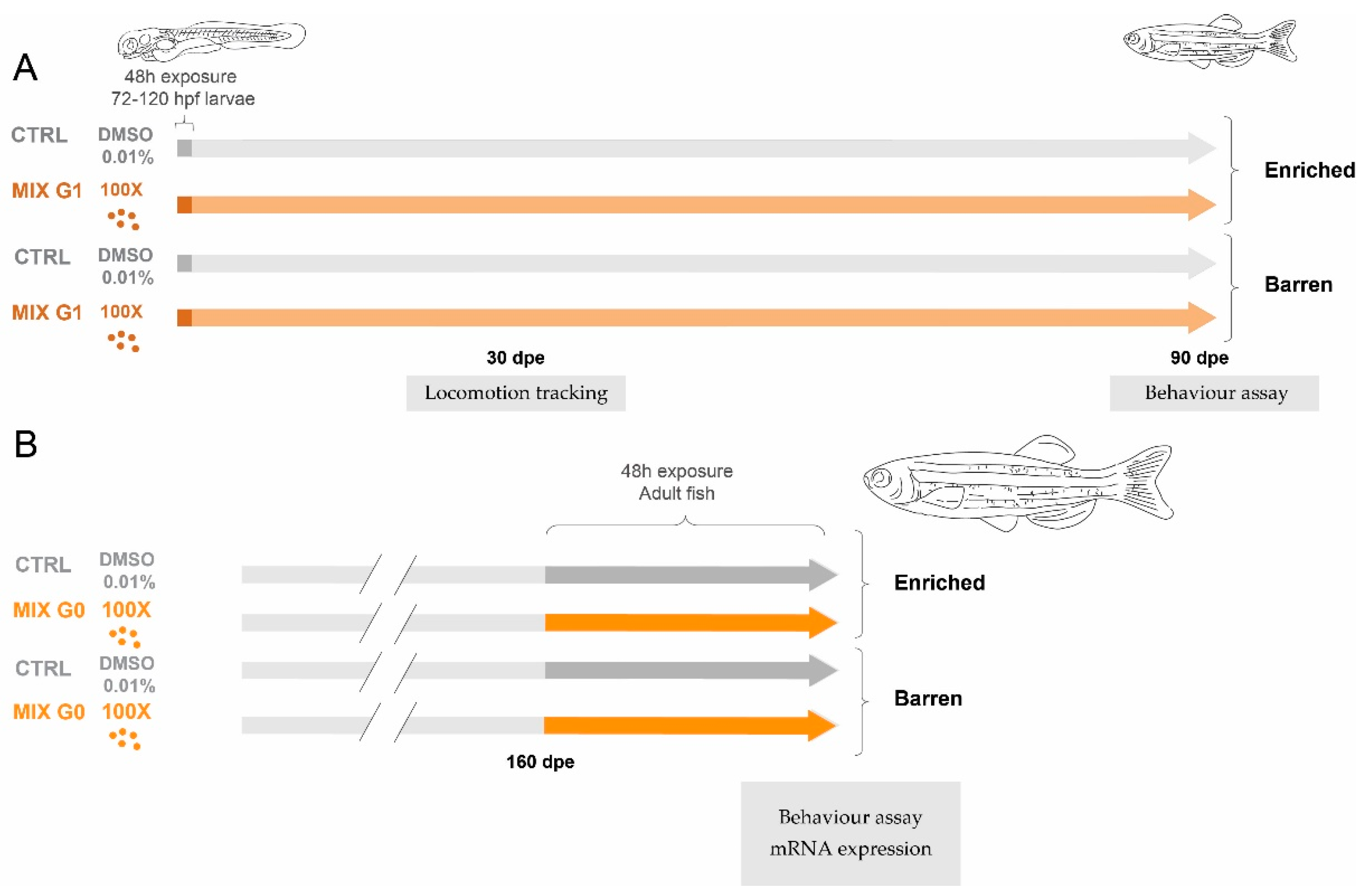 Animals 14 01296 g001