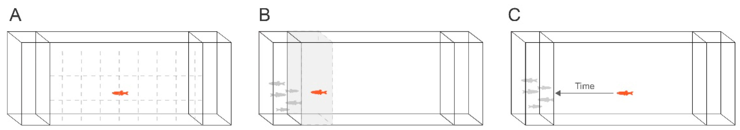 Animals 14 01296 g002