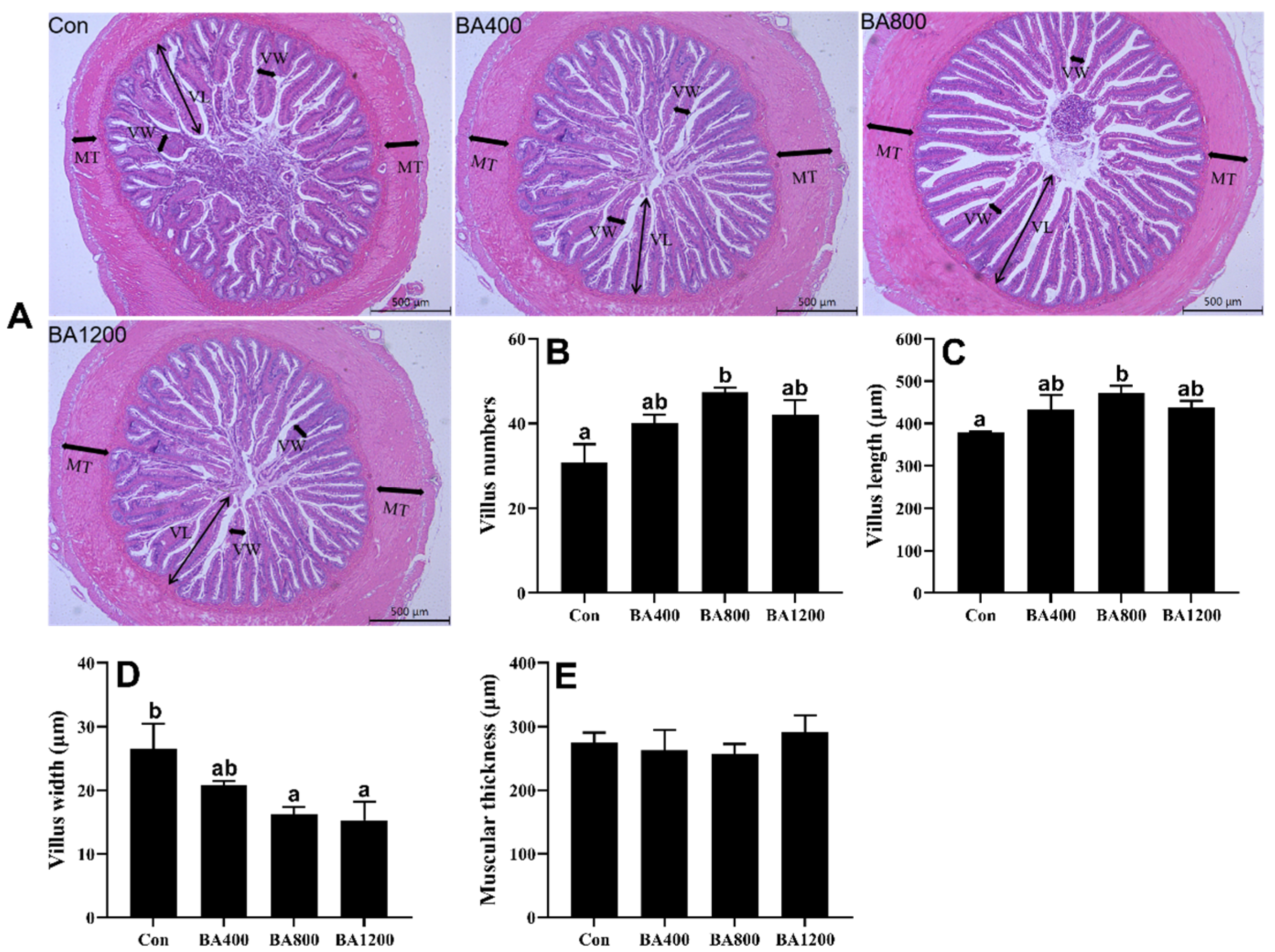 Animals 14 01299 g003