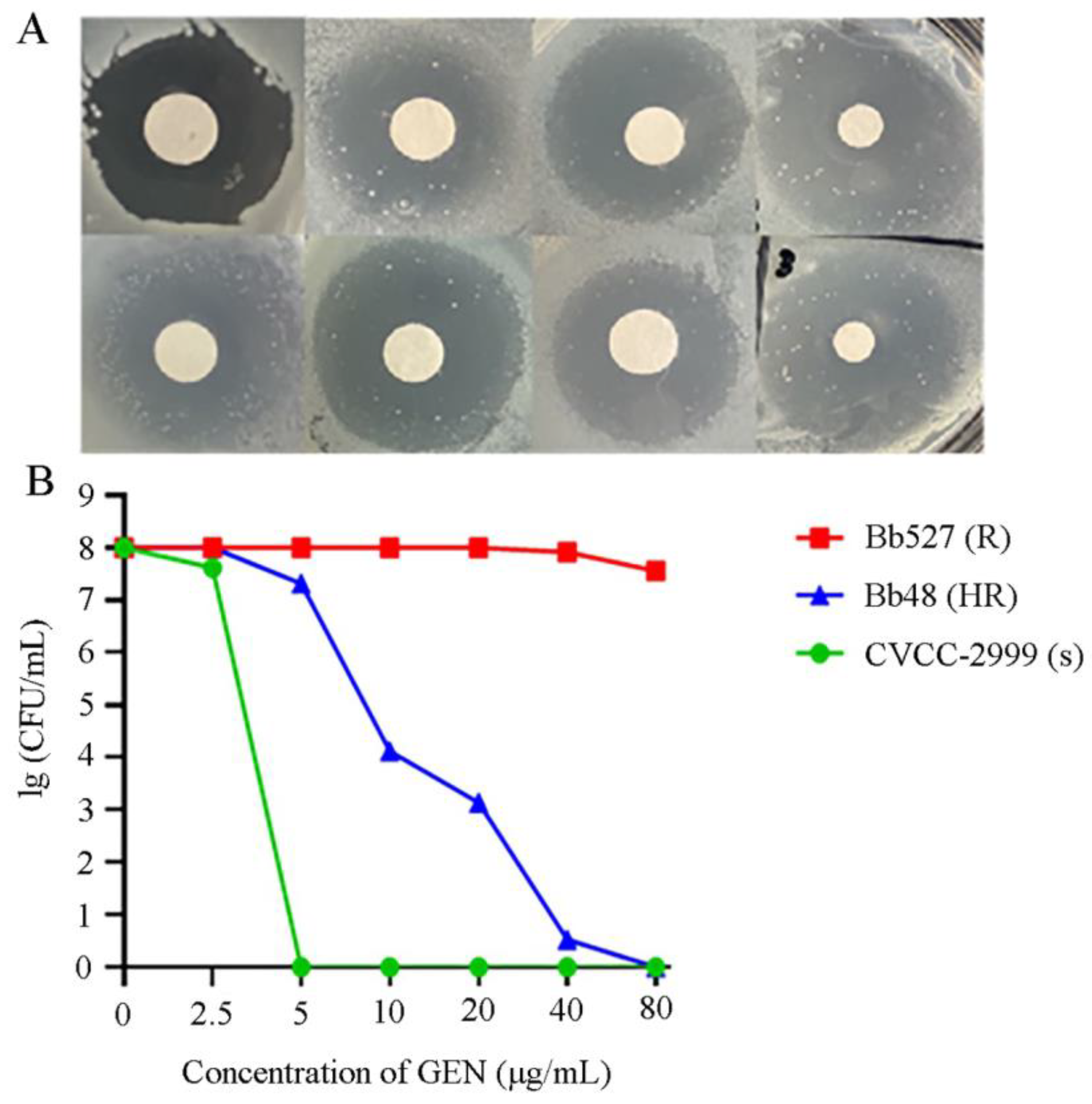 Animals 14 01301 g004
