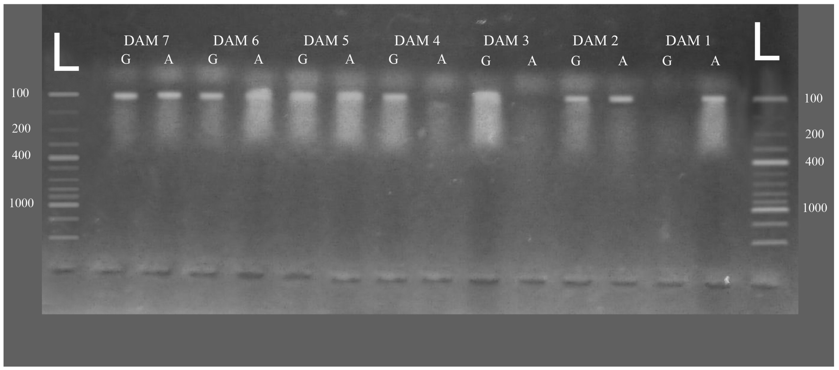 Animals 14 01306 g001 Animals 14 01306 g001