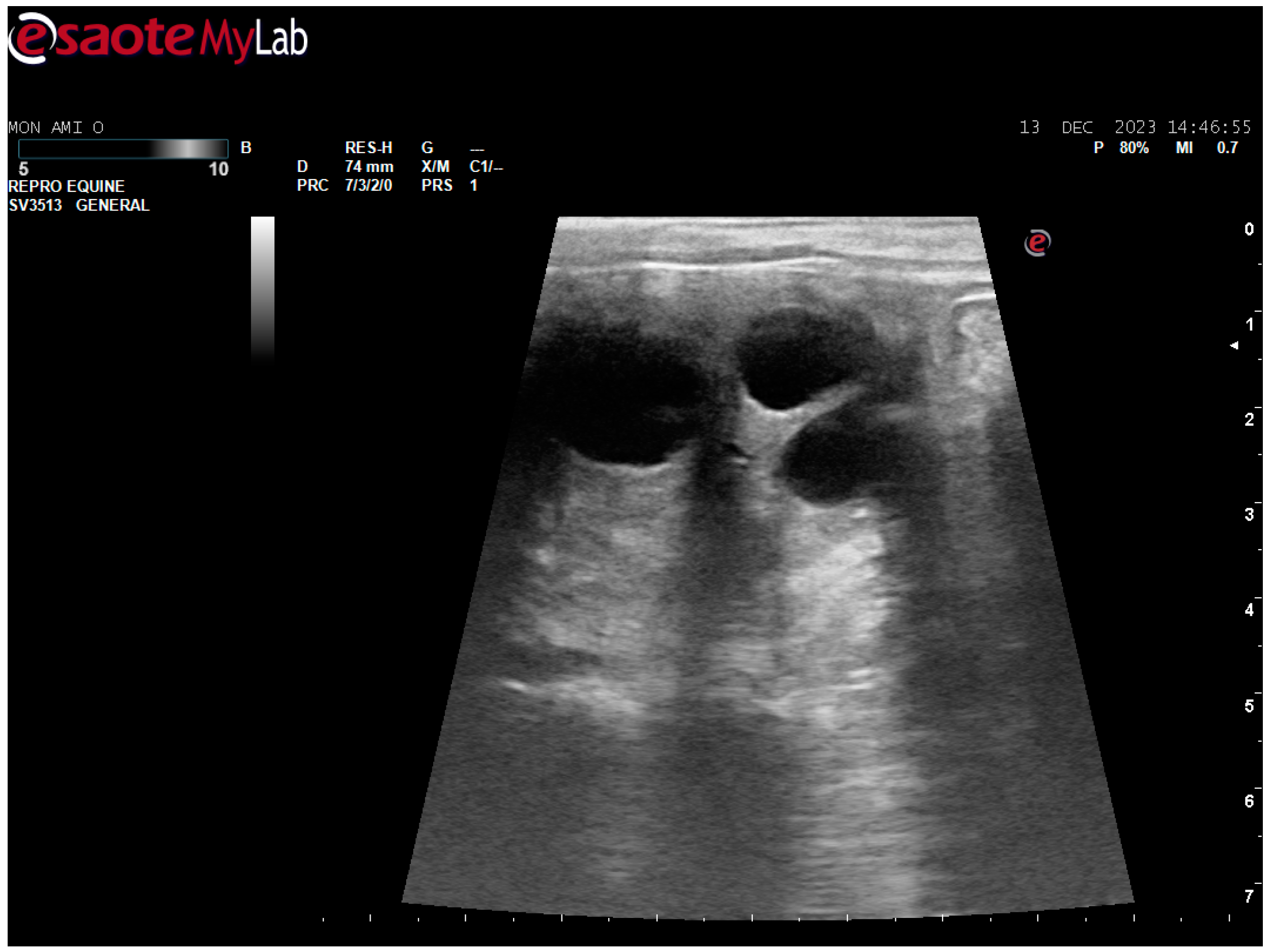 Animals 14 01307 g003