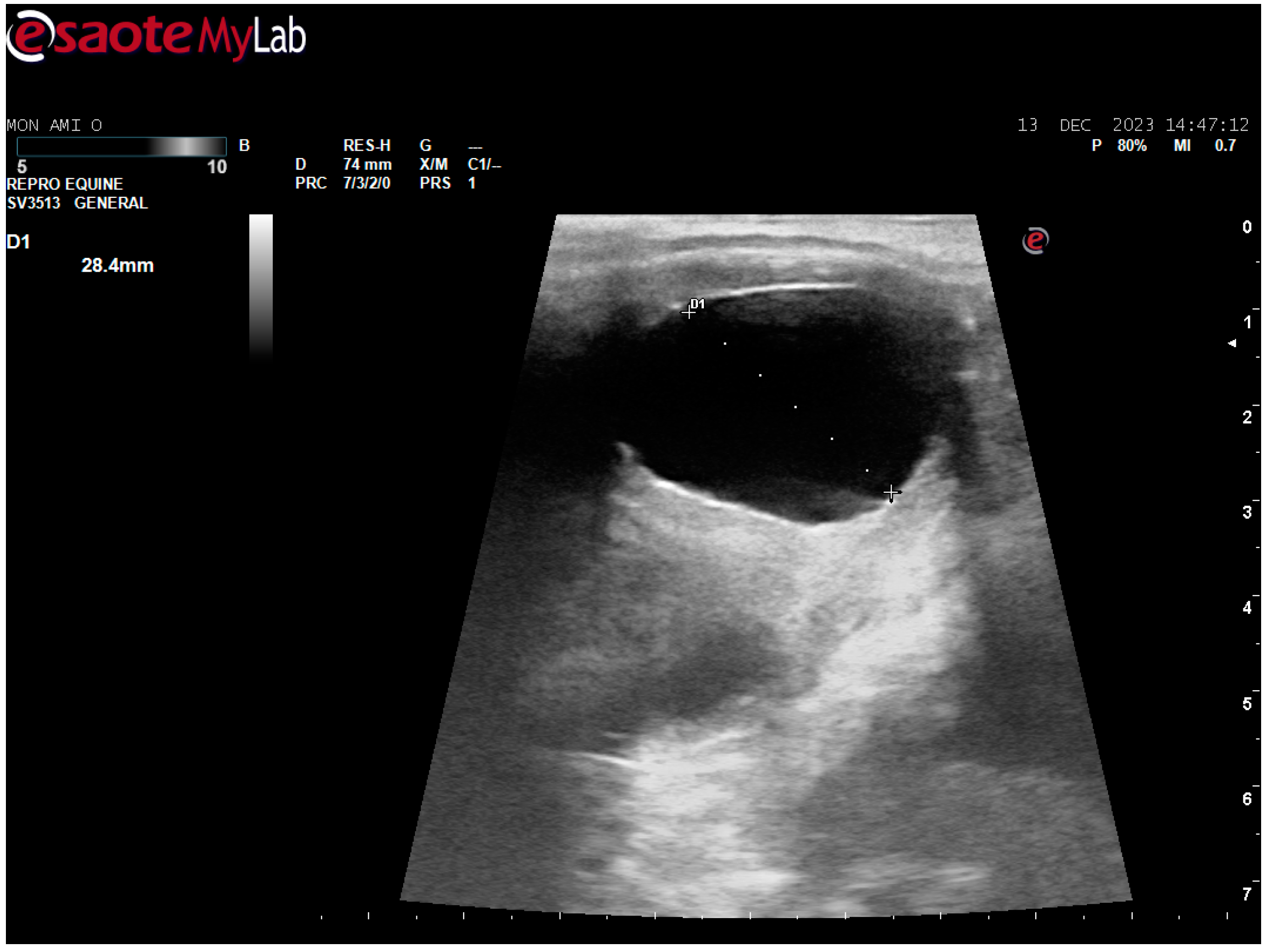 Animals 14 01307 g004