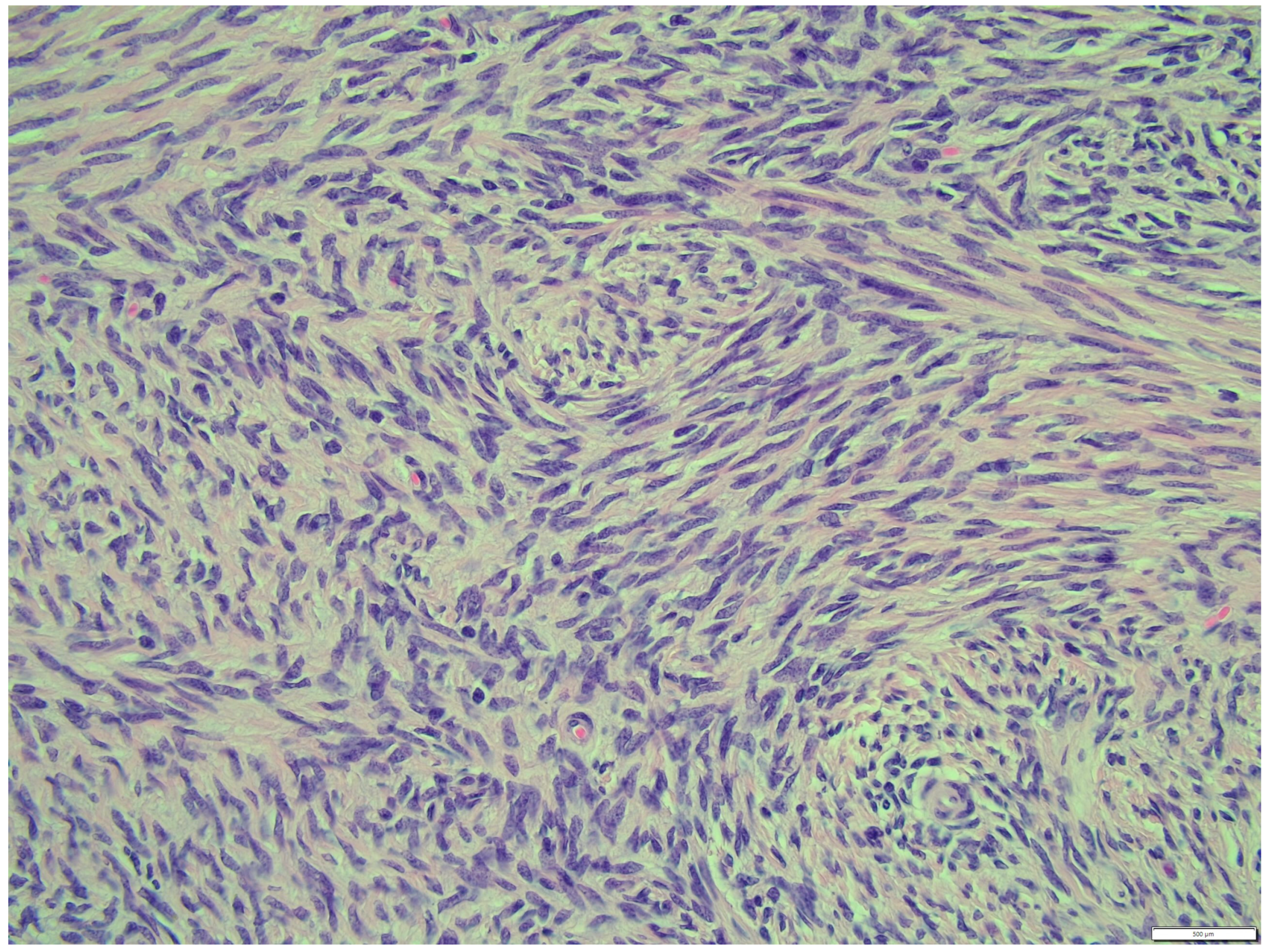 Animals 14 01307 g014