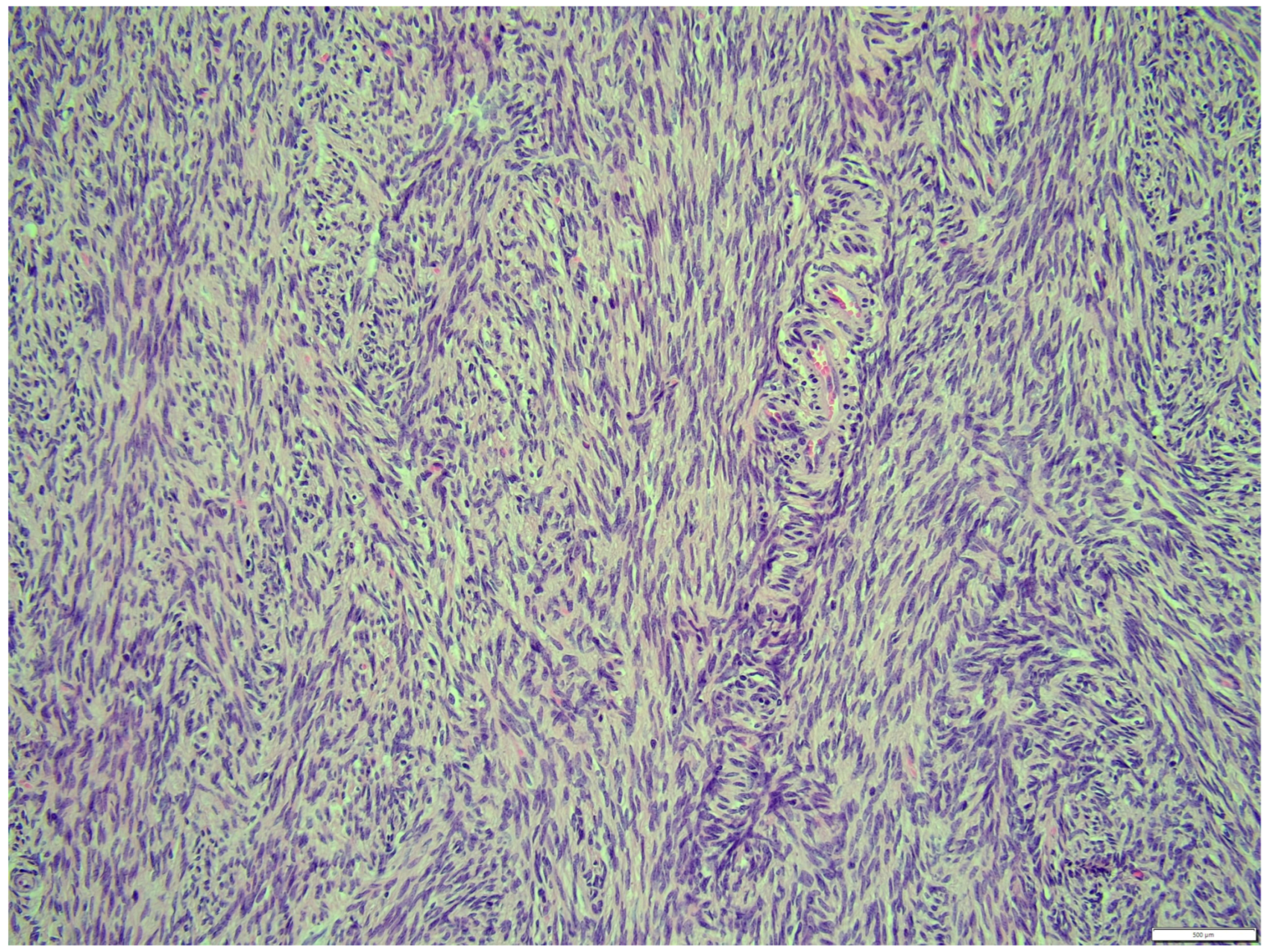 Animals 14 01307 g015