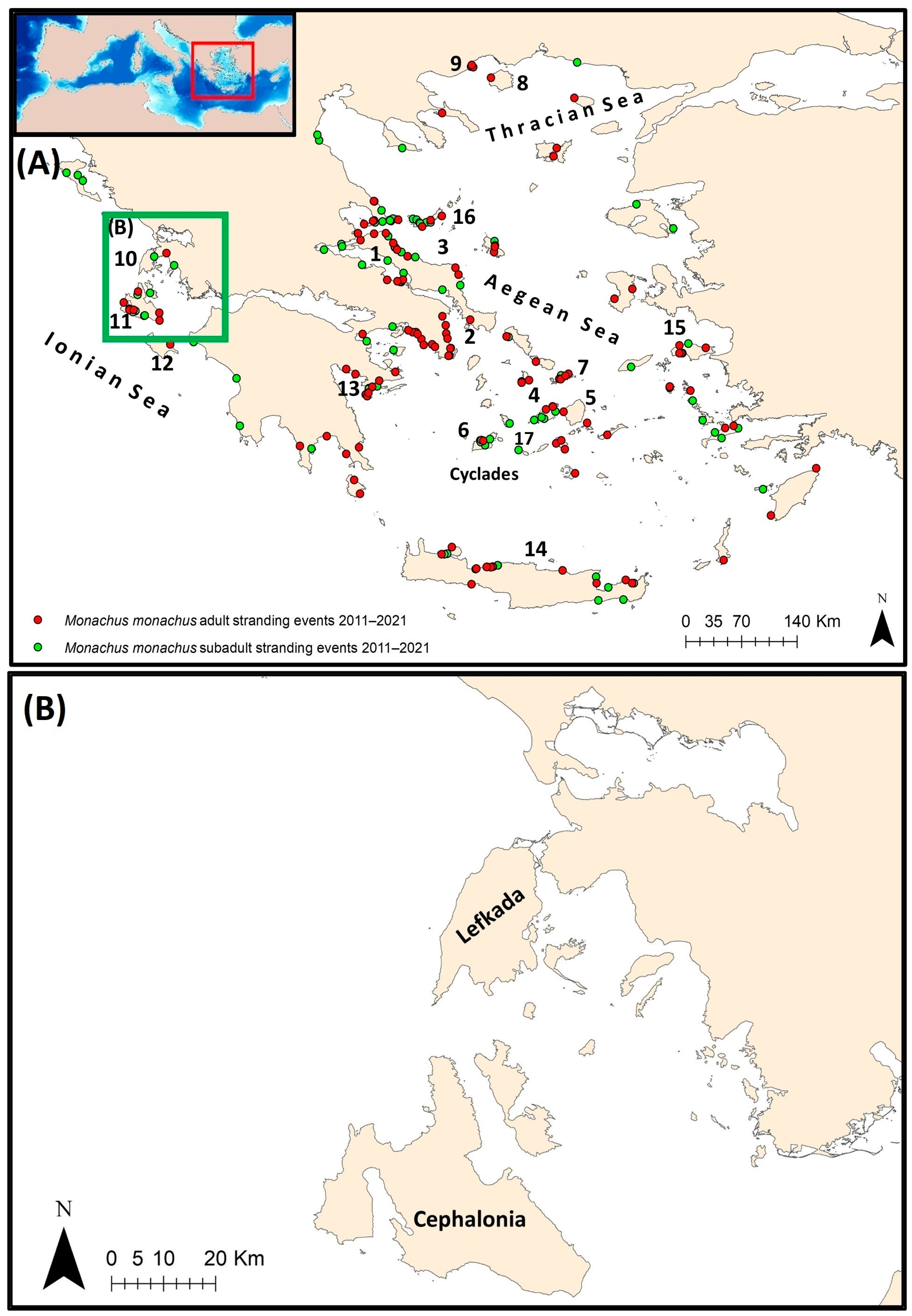 Animals 14 01309 g001 Animals 14 01309 g001