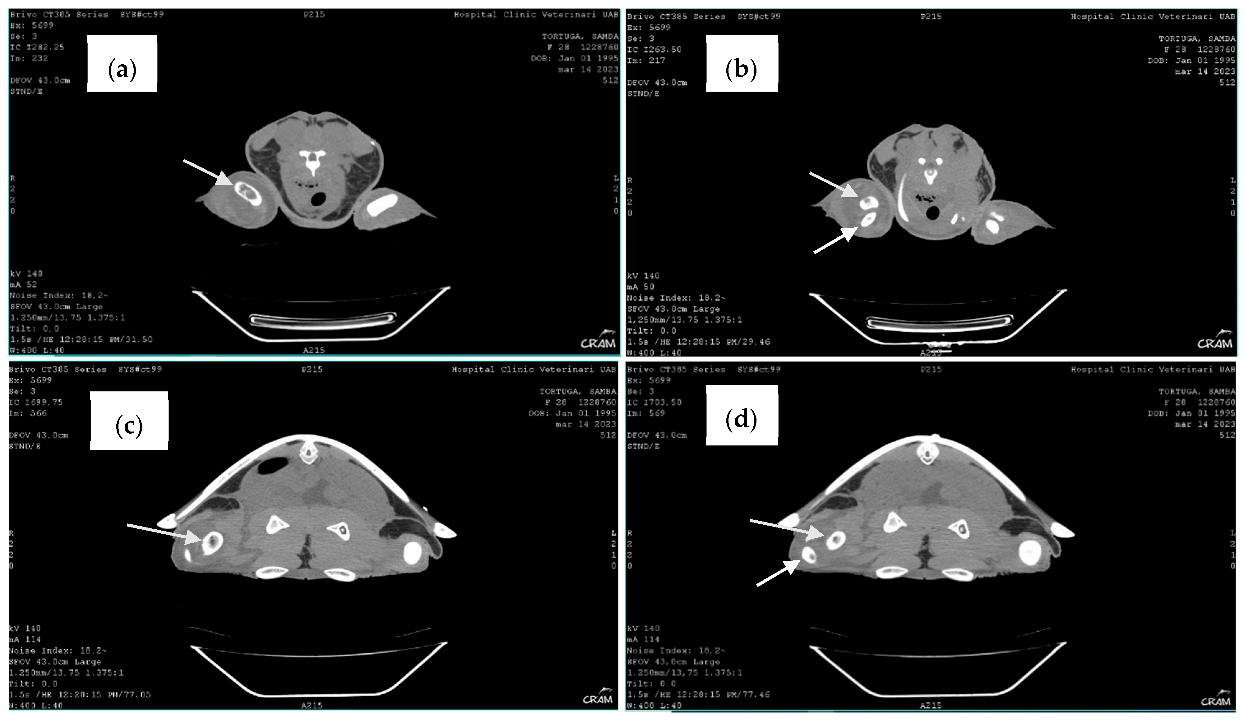 Animals 14 01317 g008
