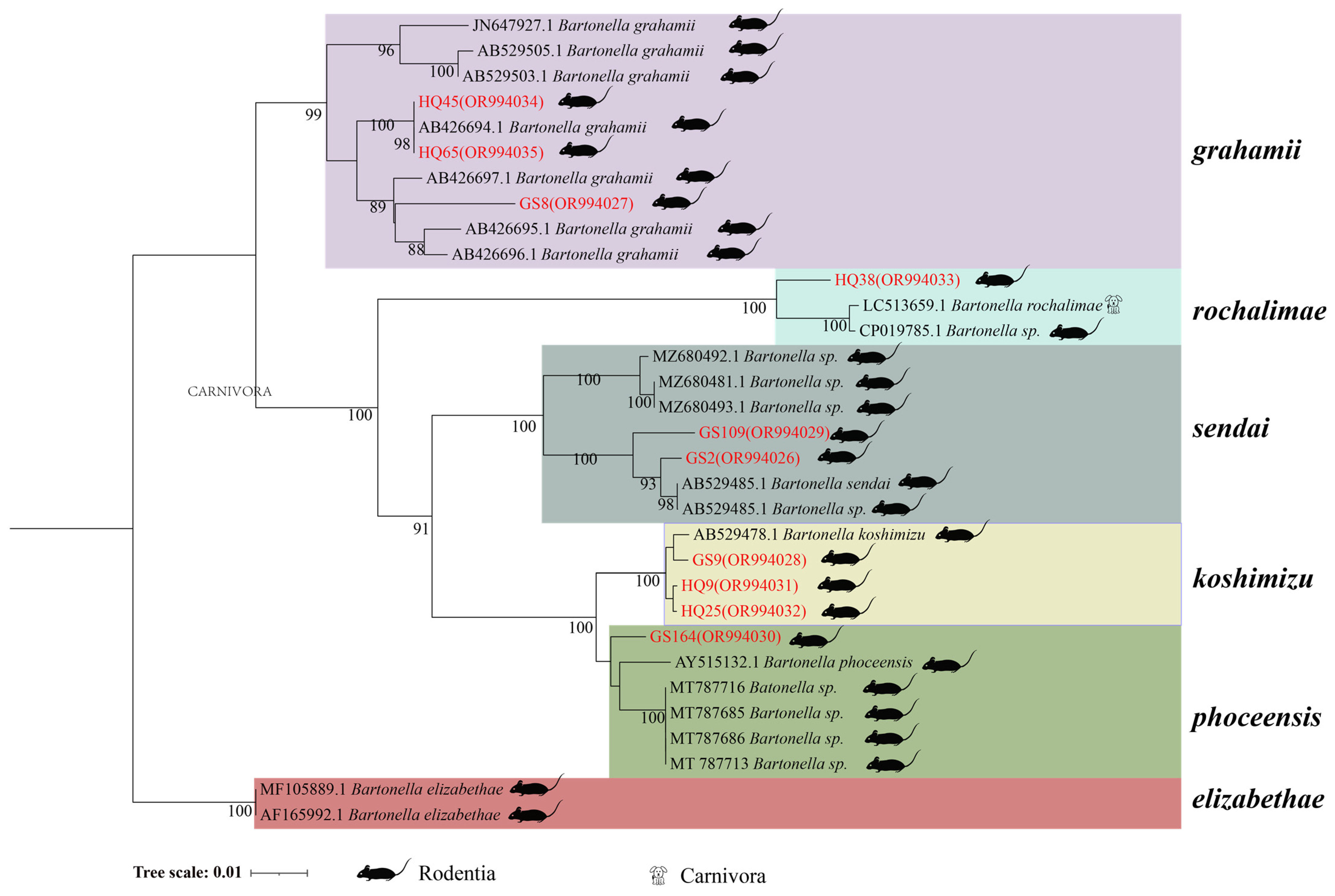 Animals 14 01320 g003 Animals 14 01320 g003
