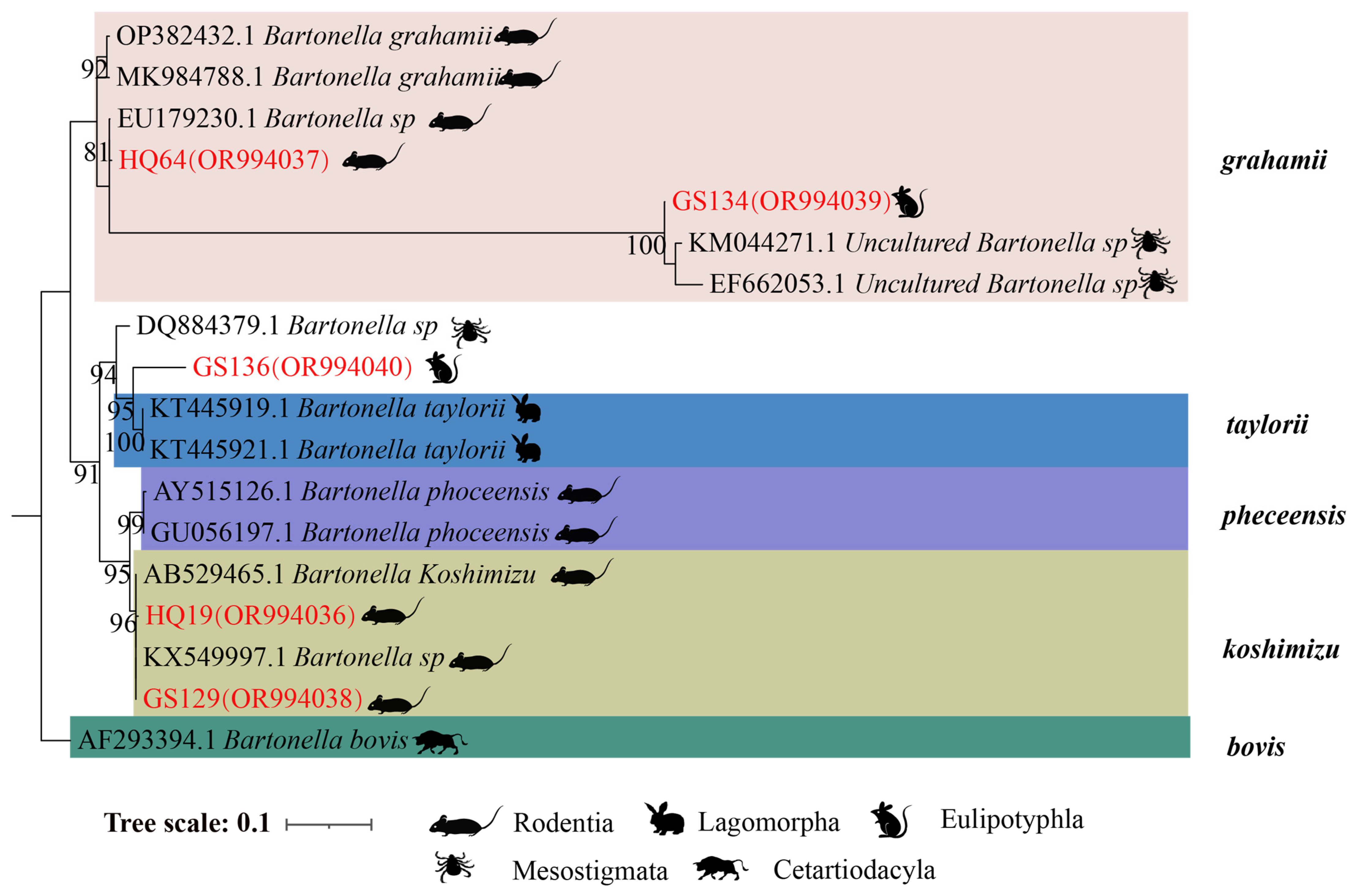 Animals 14 01320 g004 Animals 14 01320 g004