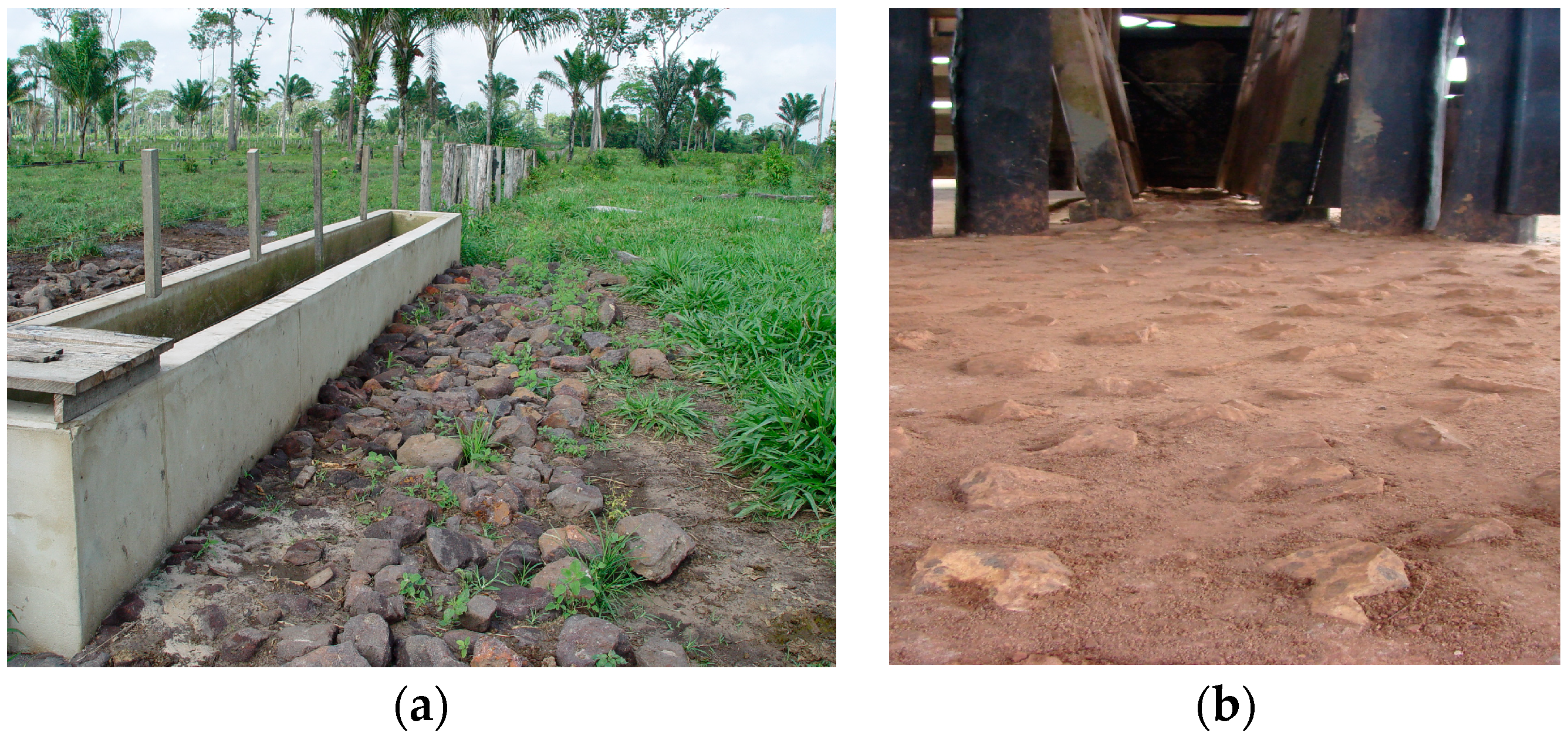 Animals 14 01329 g004 Animals 14 01329 g004