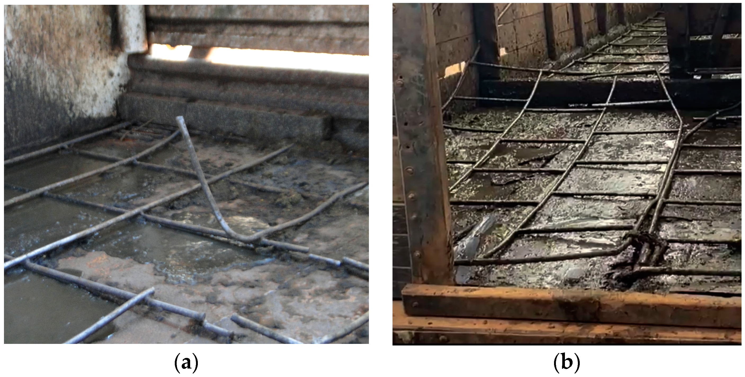 Animals 14 01329 g007 Animals 14 01329 g007