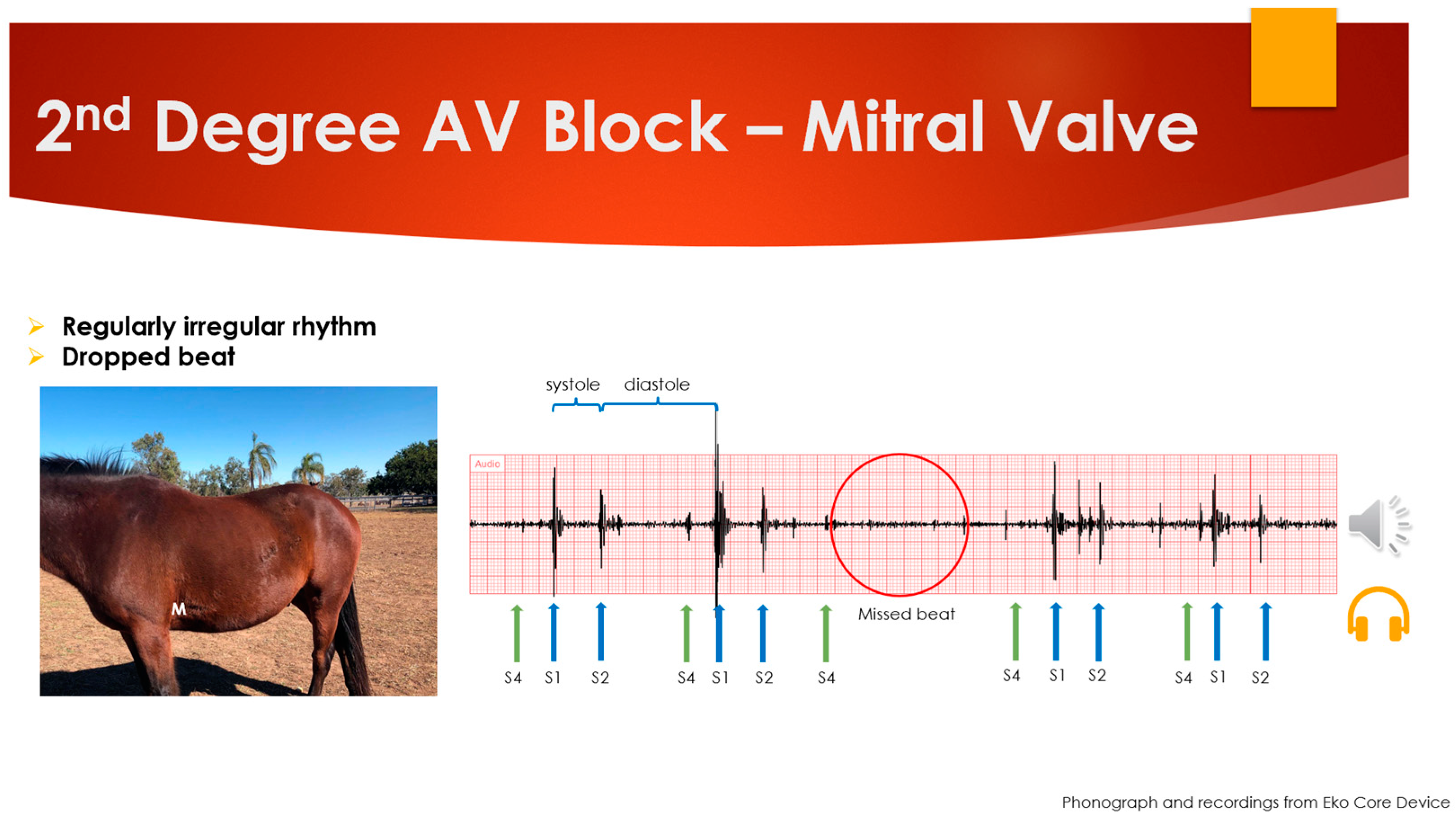 Animals 14 01341 g002