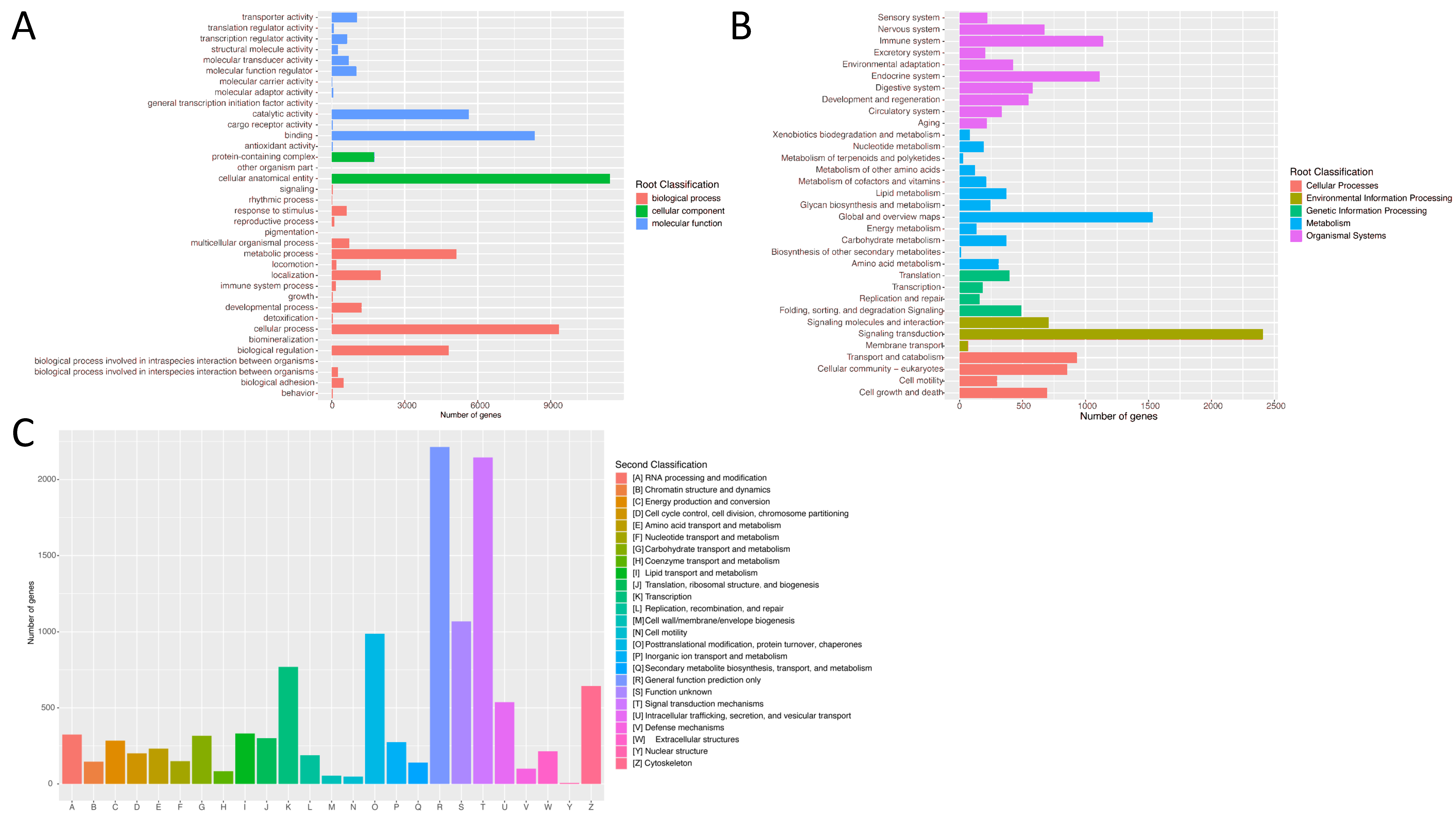 Animals 14 01346 g003 Animals 14 01346 g003