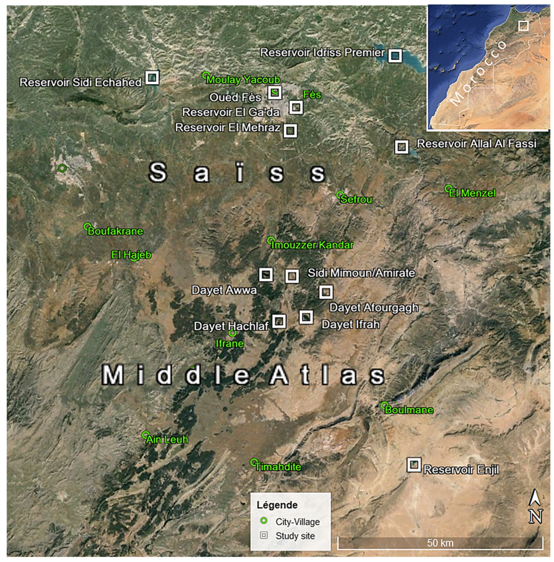 Animals 14 01352 g001