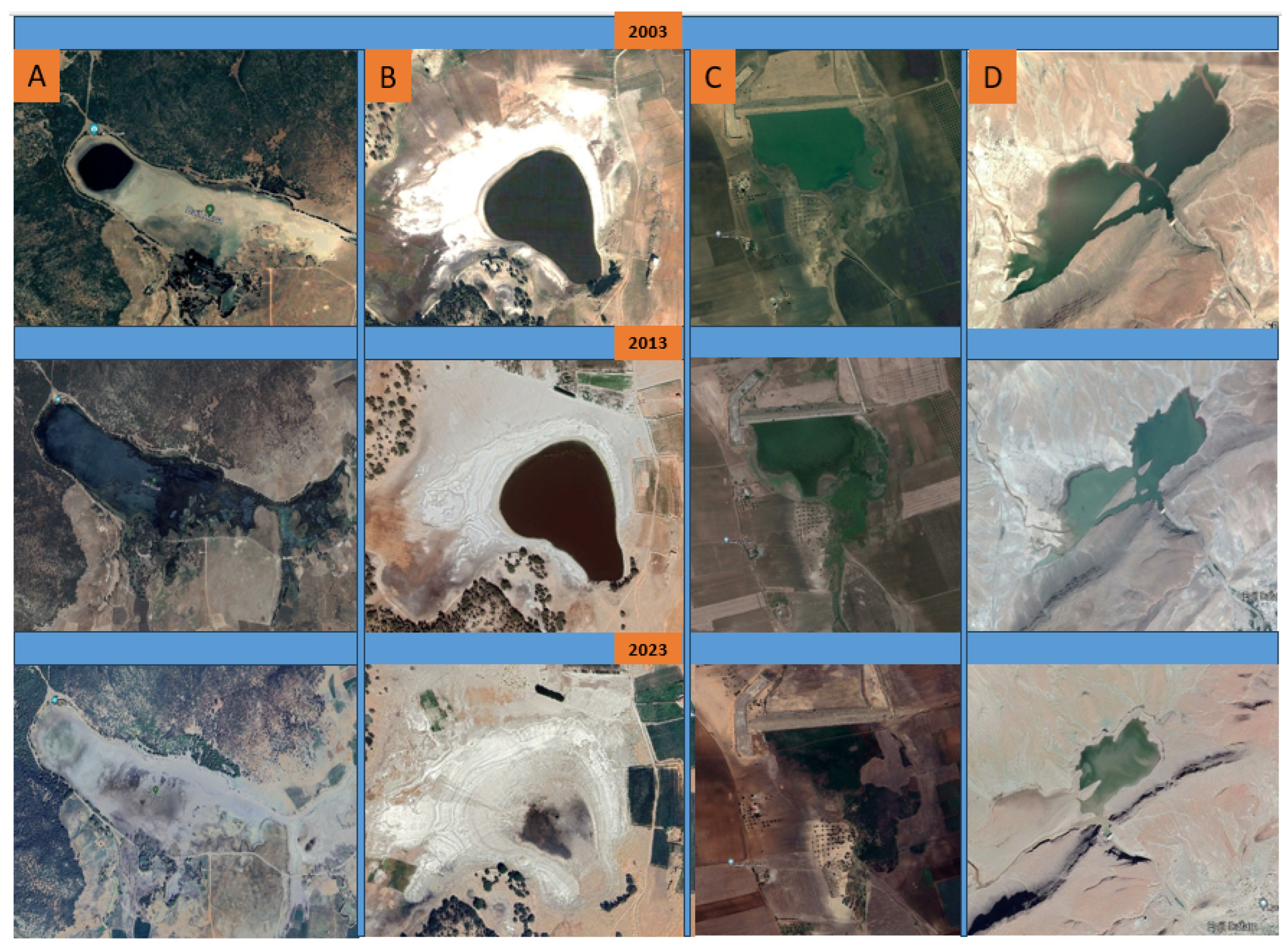 Animals 14 01352 g007