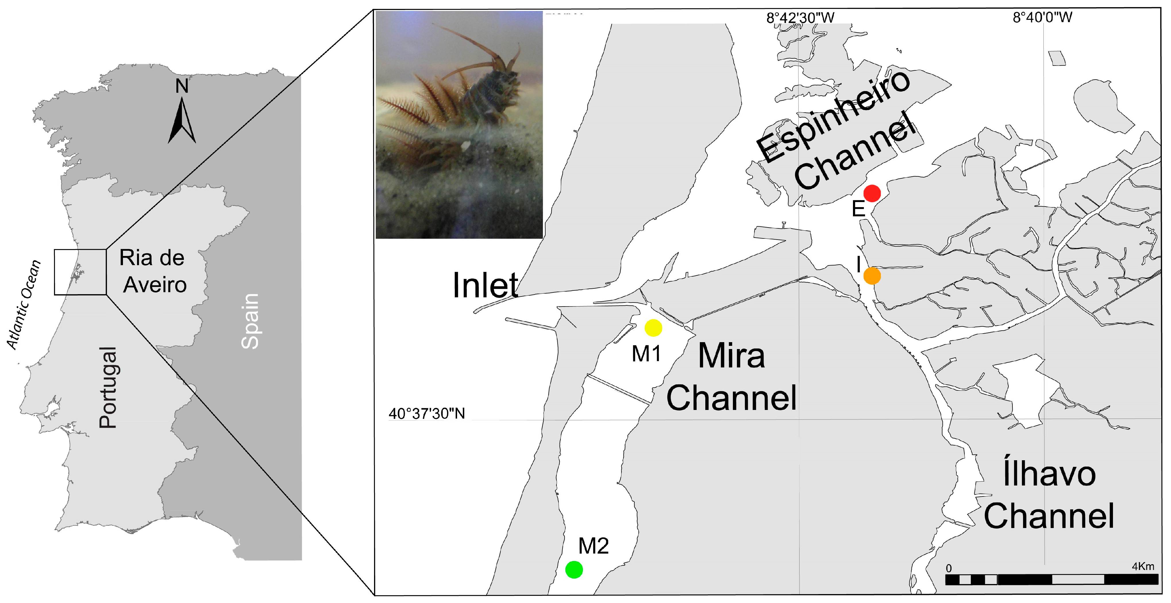 Animals 14 01361 g001 Animals 14 01361 g001