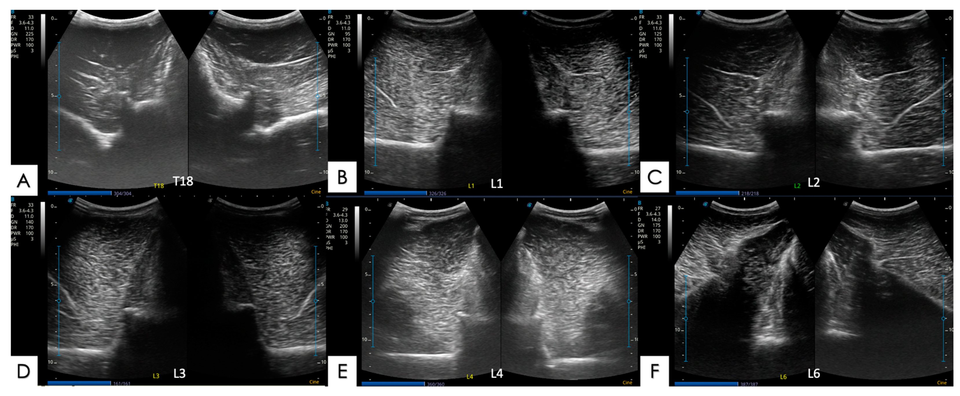 Animals 14 01364 g006