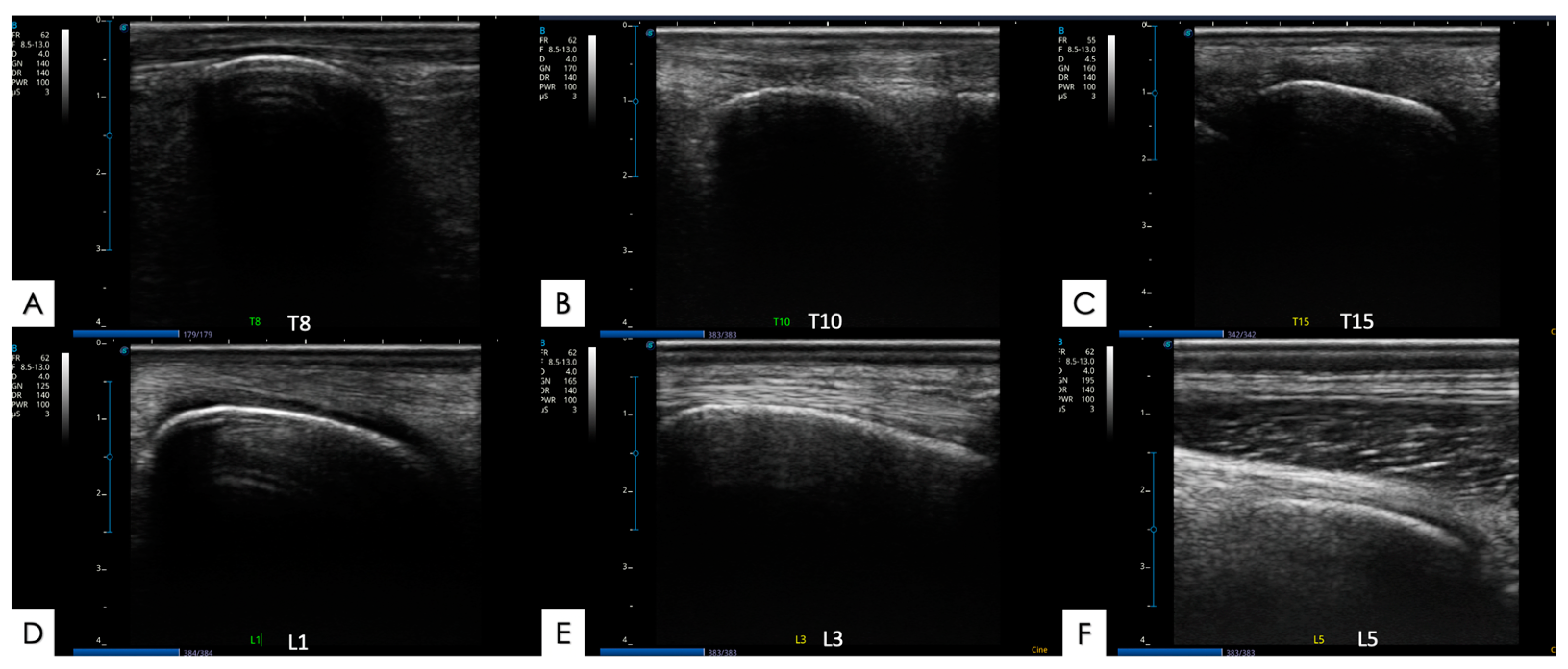 Animals 14 01364 g008