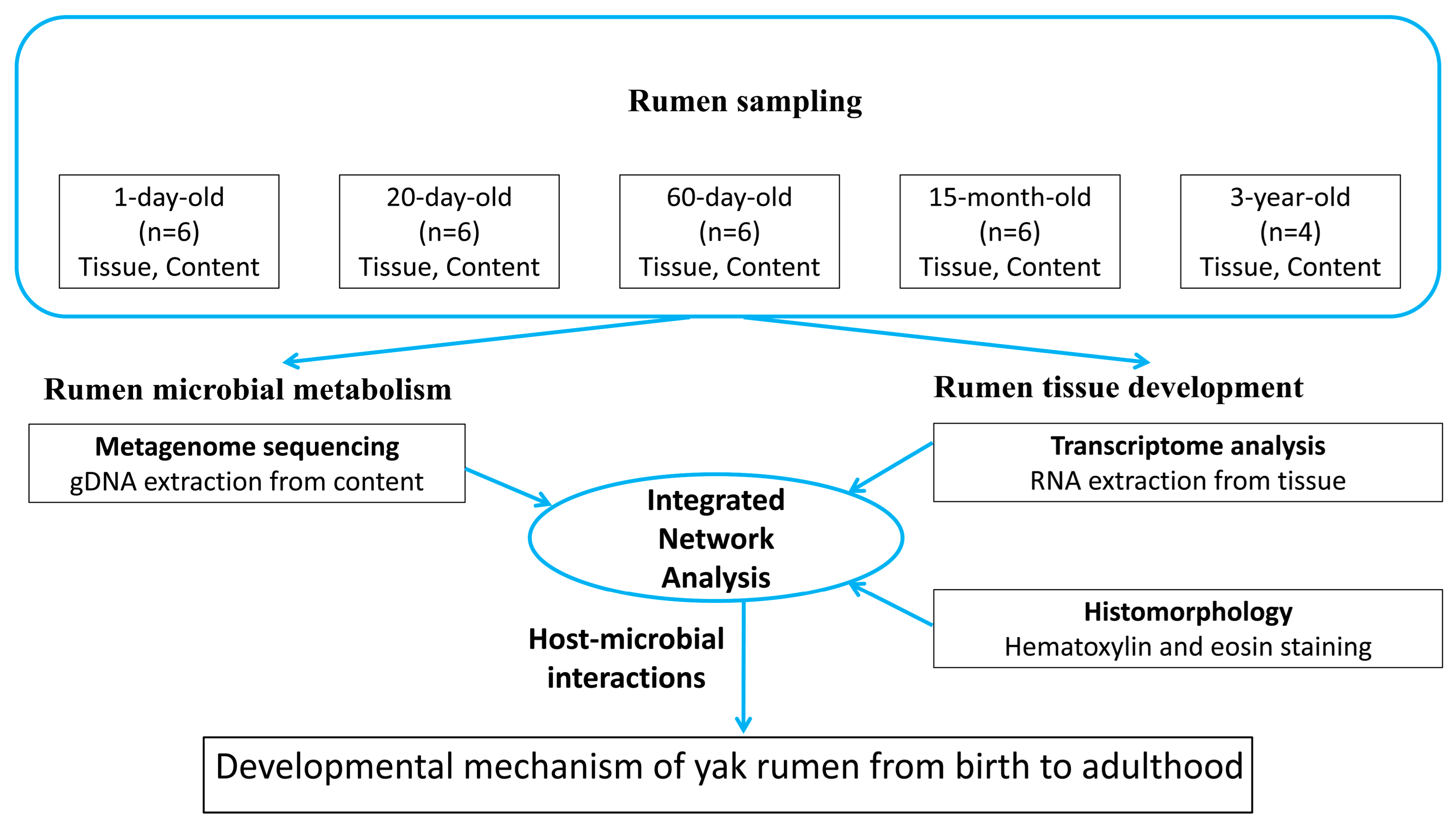 Animals 14 01365 g001 Animals 14 01365 g001