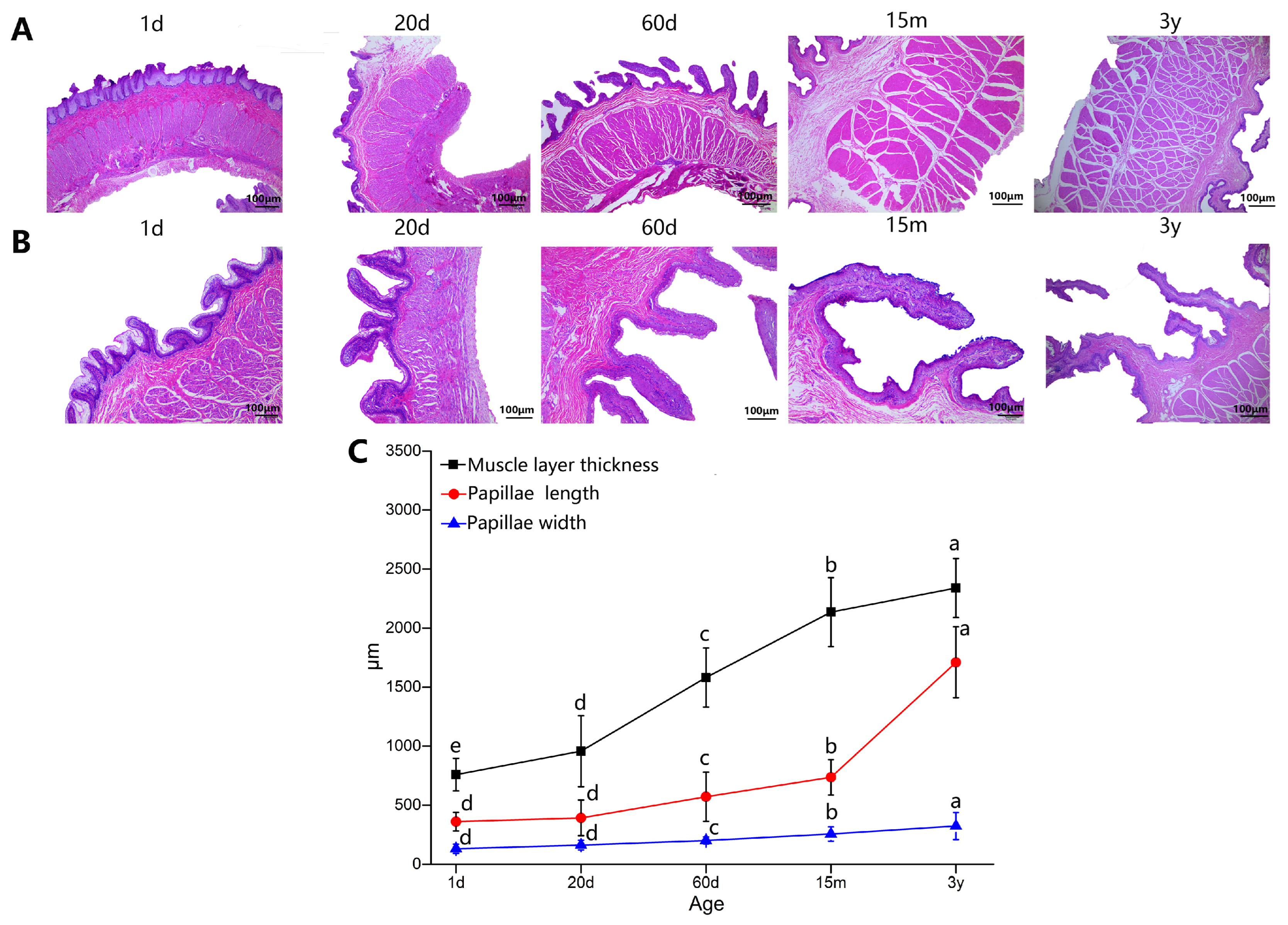 Animals 14 01365 g002 Animals 14 01365 g002