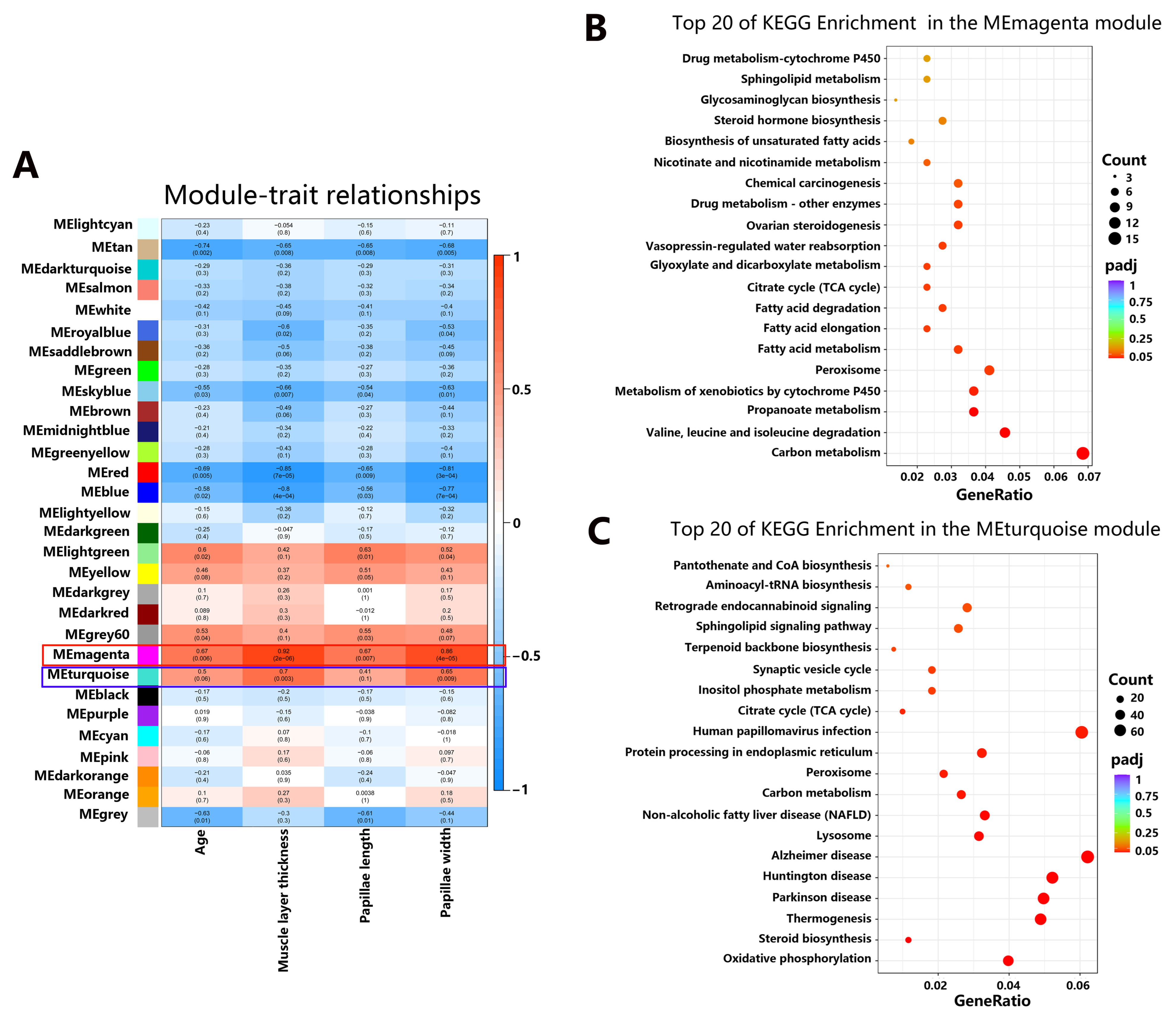 Animals 14 01365 g007 Animals 14 01365 g007