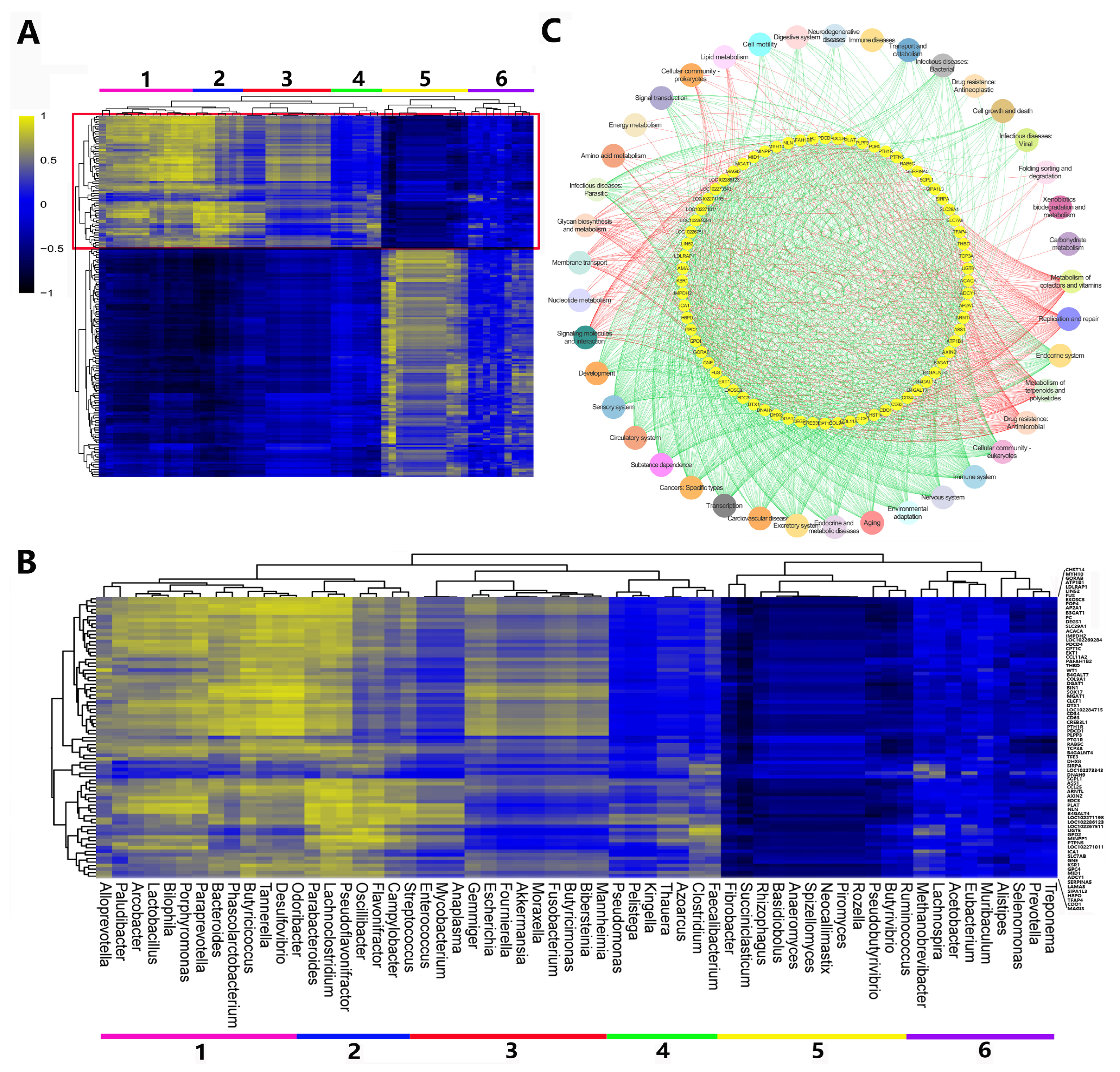 Animals 14 01365 g008 Animals 14 01365 g008