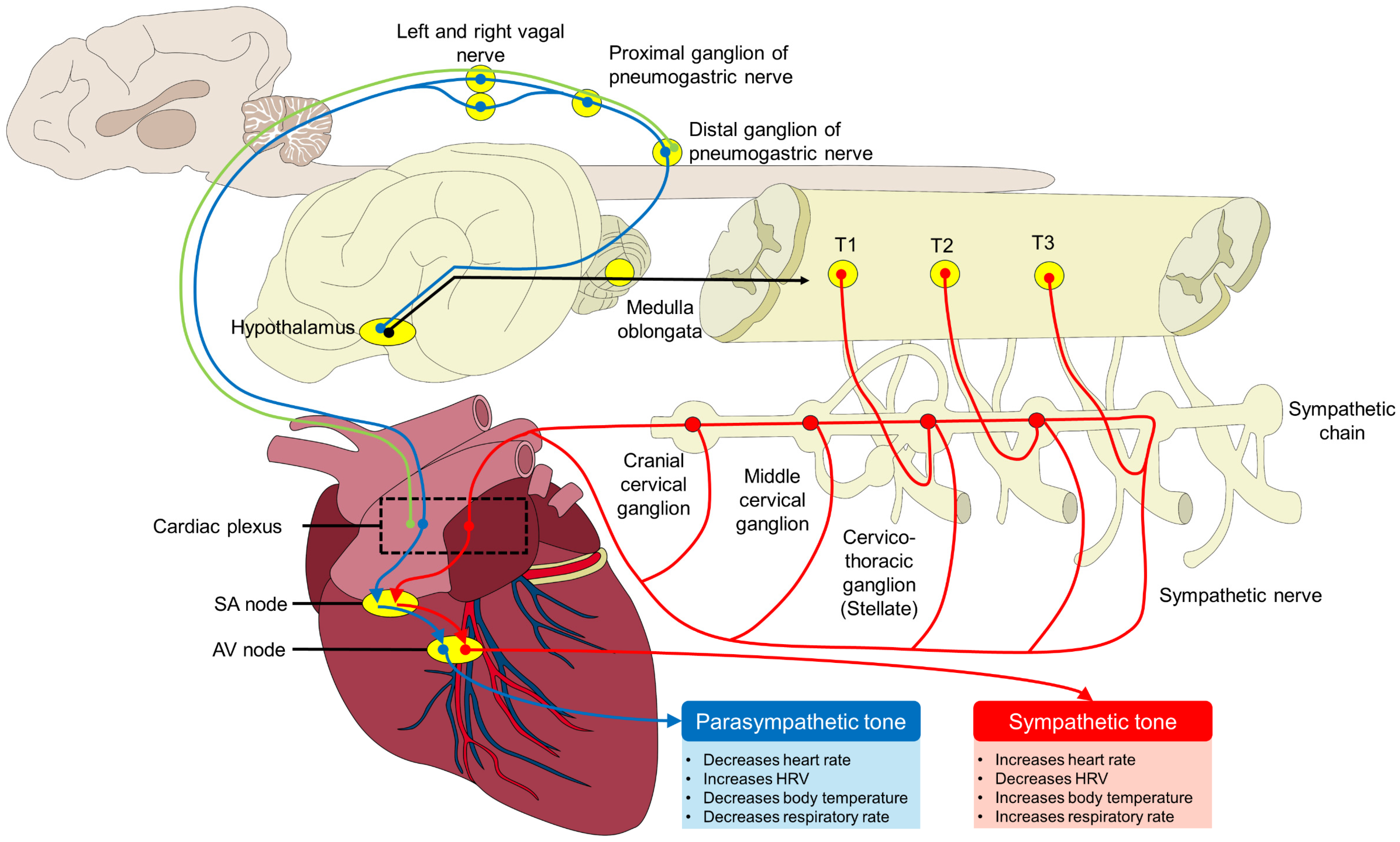Animals 14 01366 g001