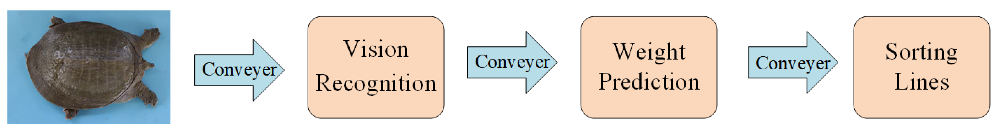 Animals 14 01368 g001 Animals 14 01368 g001